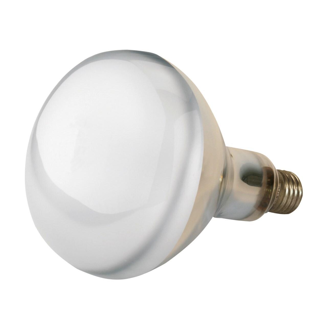 product/k/e/kerbl_22243_2.jpg