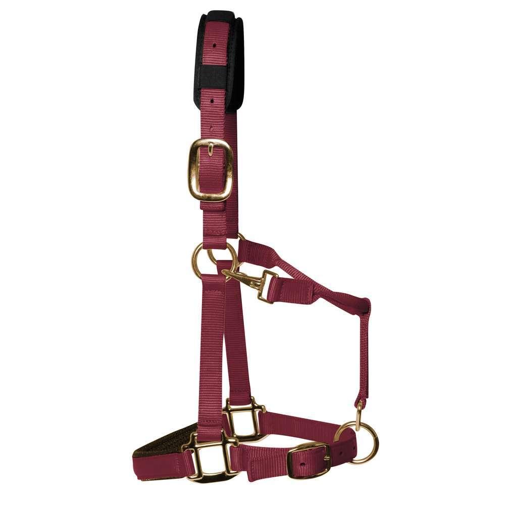 product/k/m/km-elite_hbuc_bordeaux-red_1.jpg