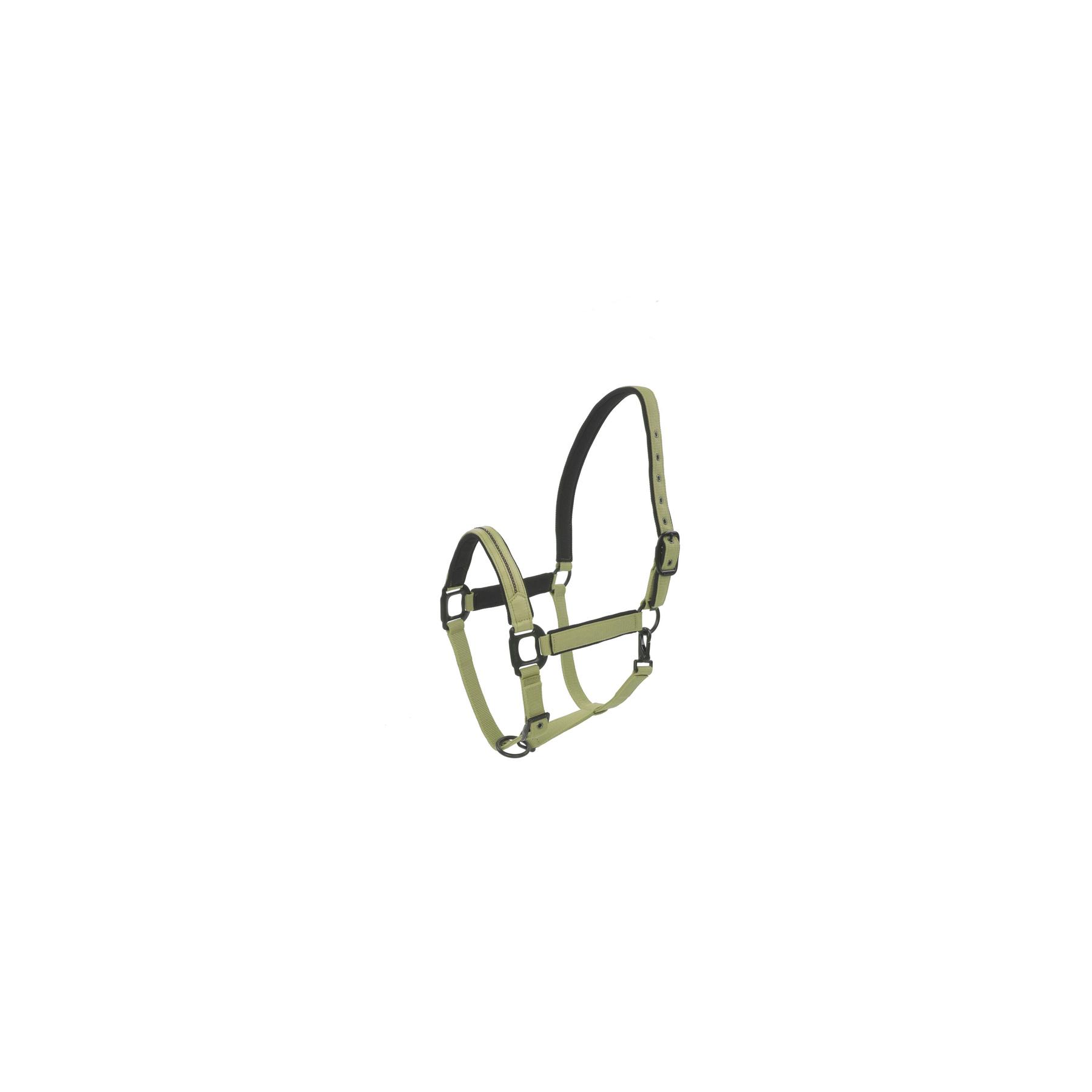 product/l/a/lami-cell_555026008_vert-clair_1.jpg