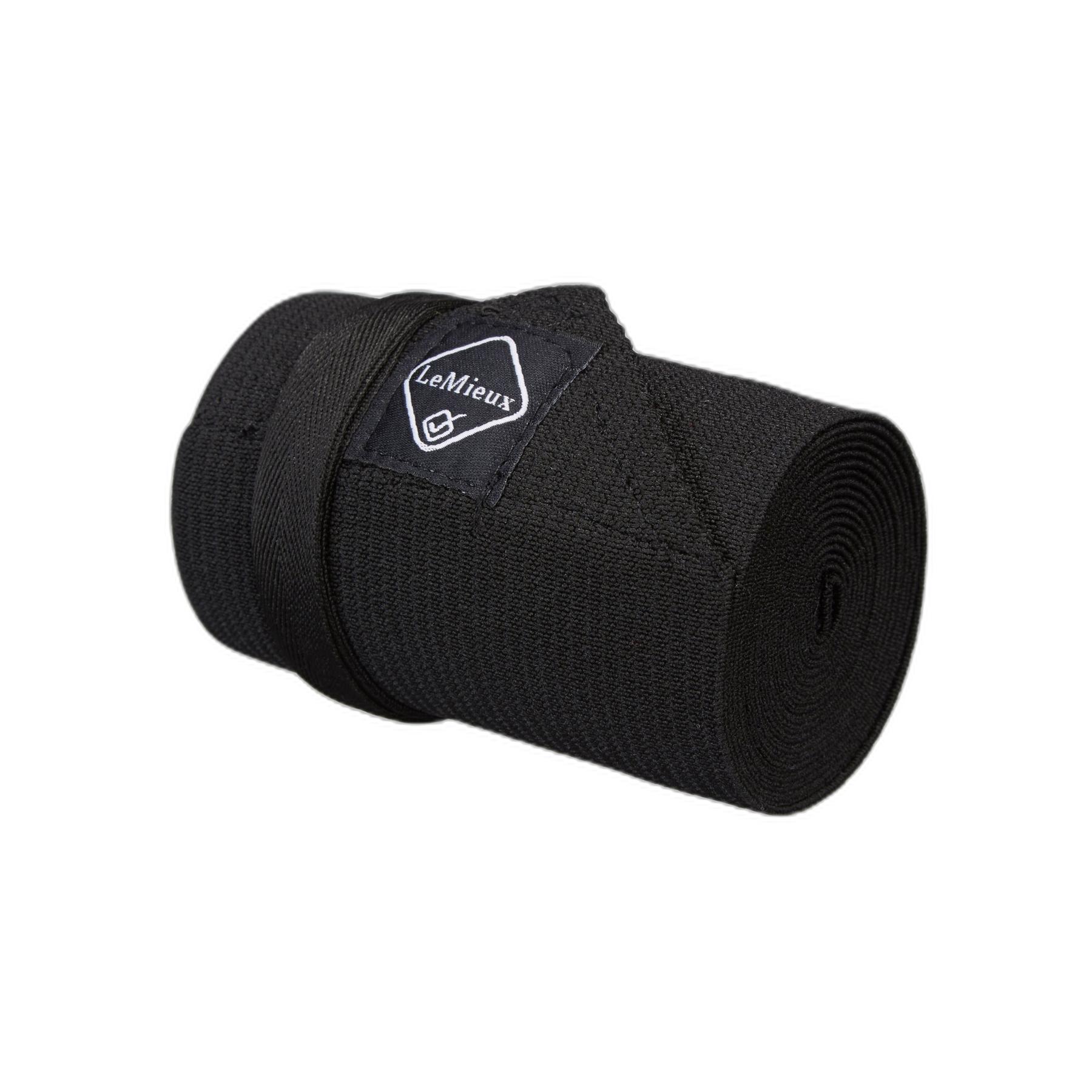 product/l/e/lemieux_it00429.jpg