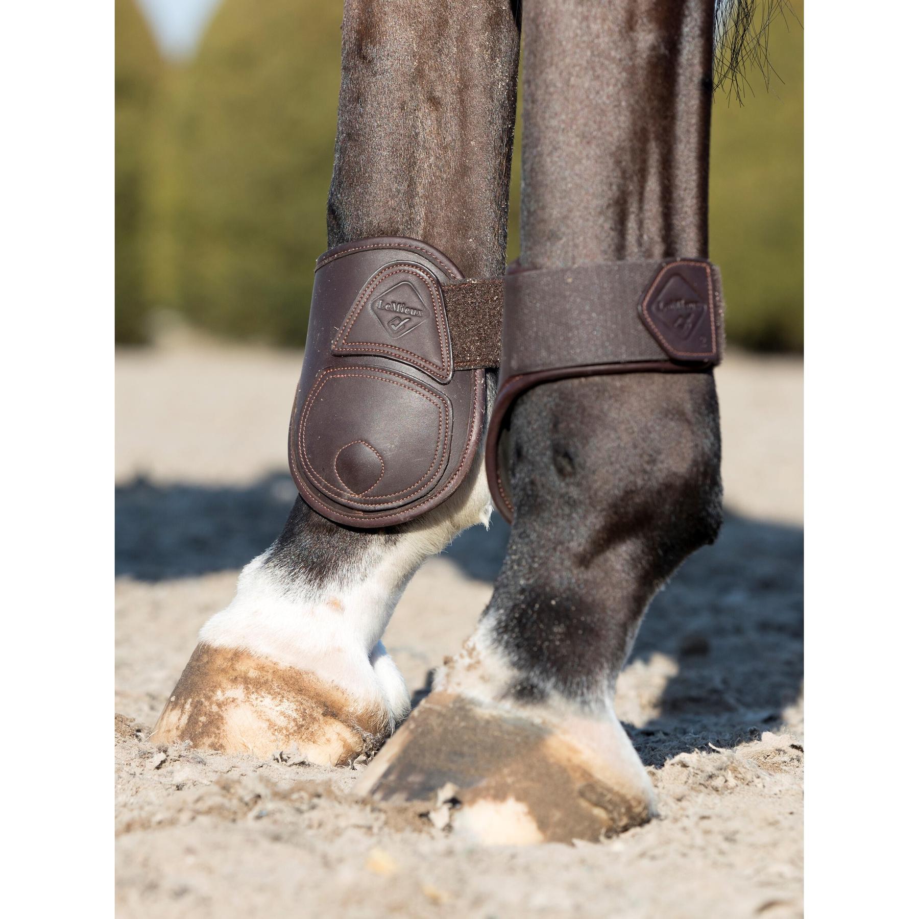product/l/e/lemieux_it00642_3.jpg