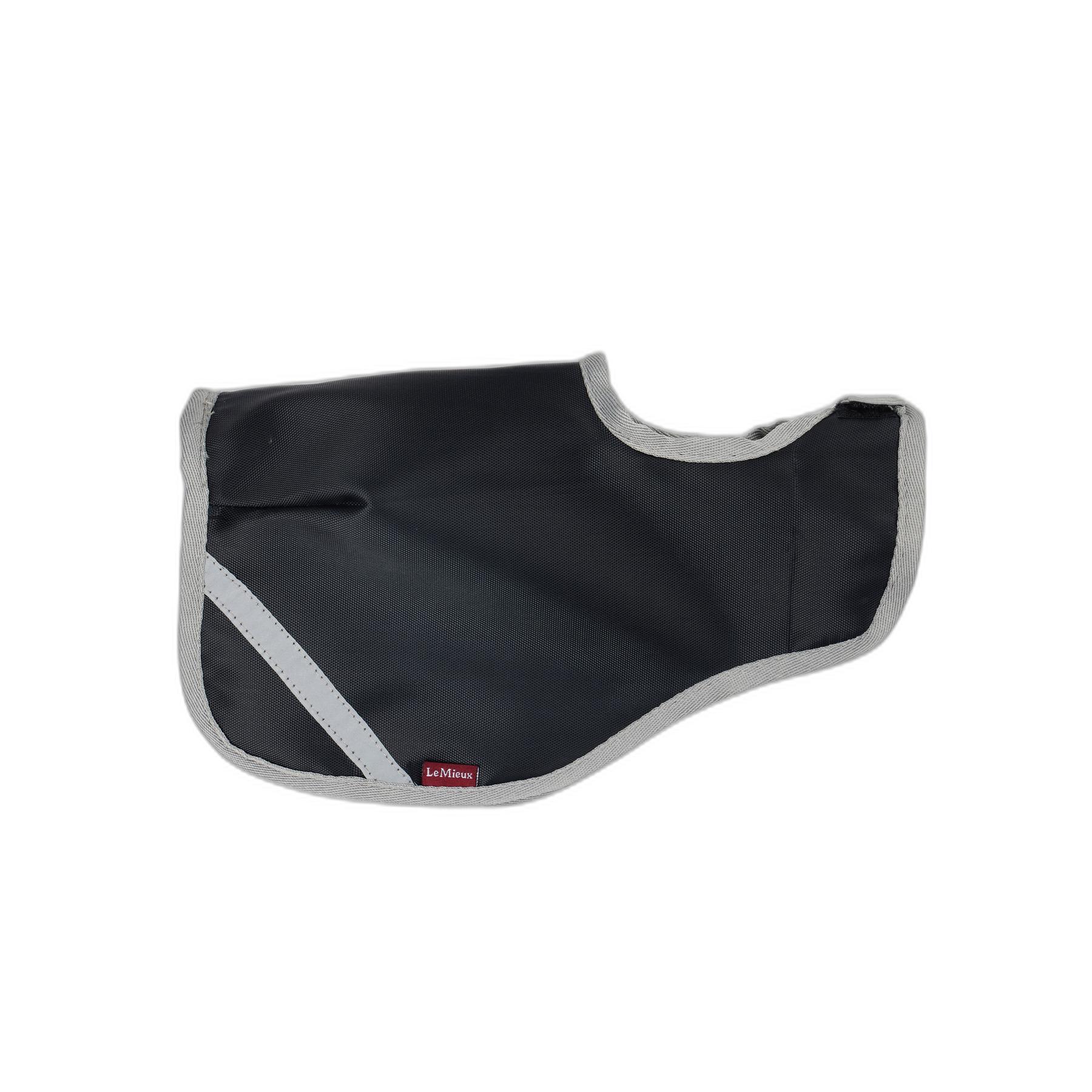 product/l/e/lemieux_it03379001_1.jpg