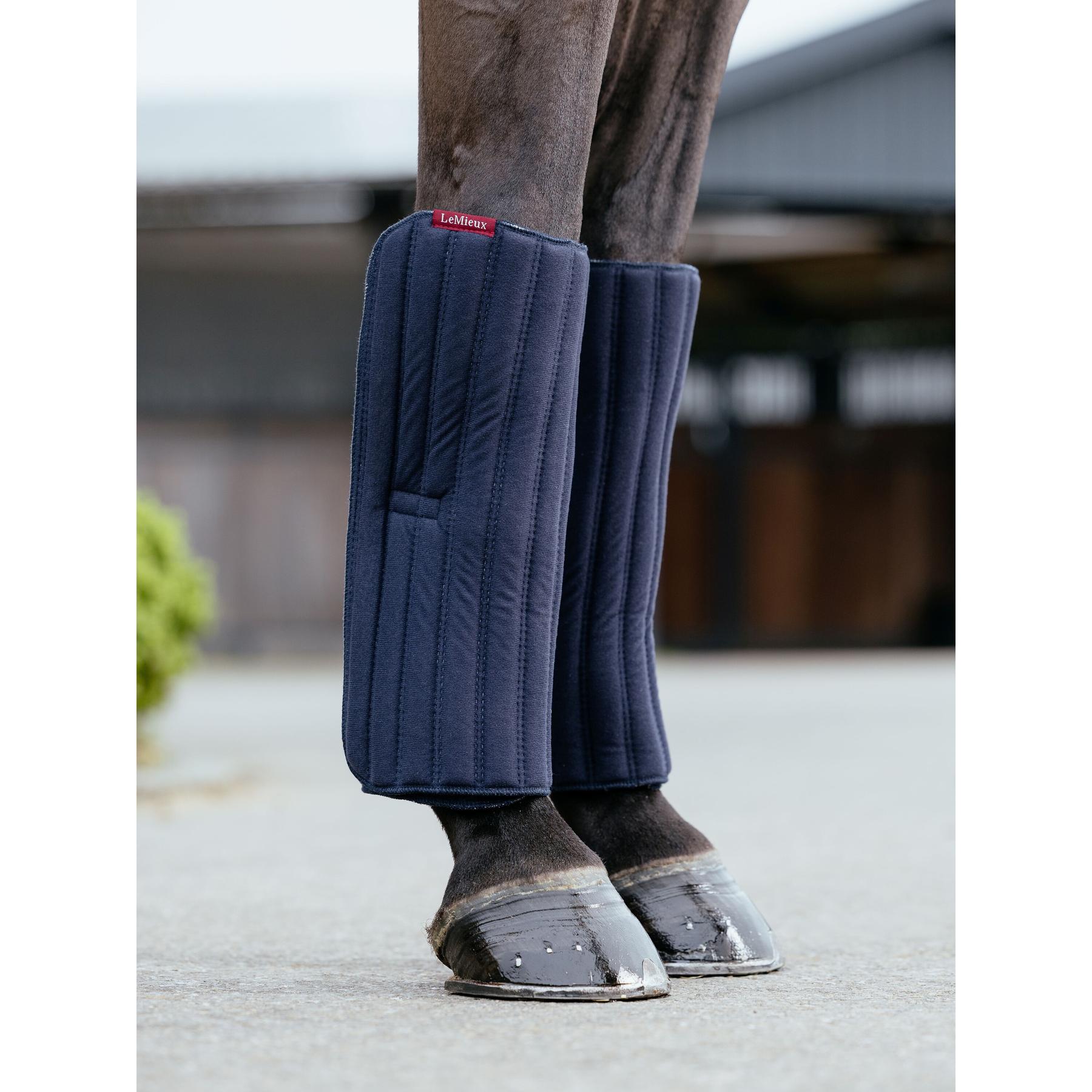 product/l/e/lemieux_it03746003_navy_4.jpg