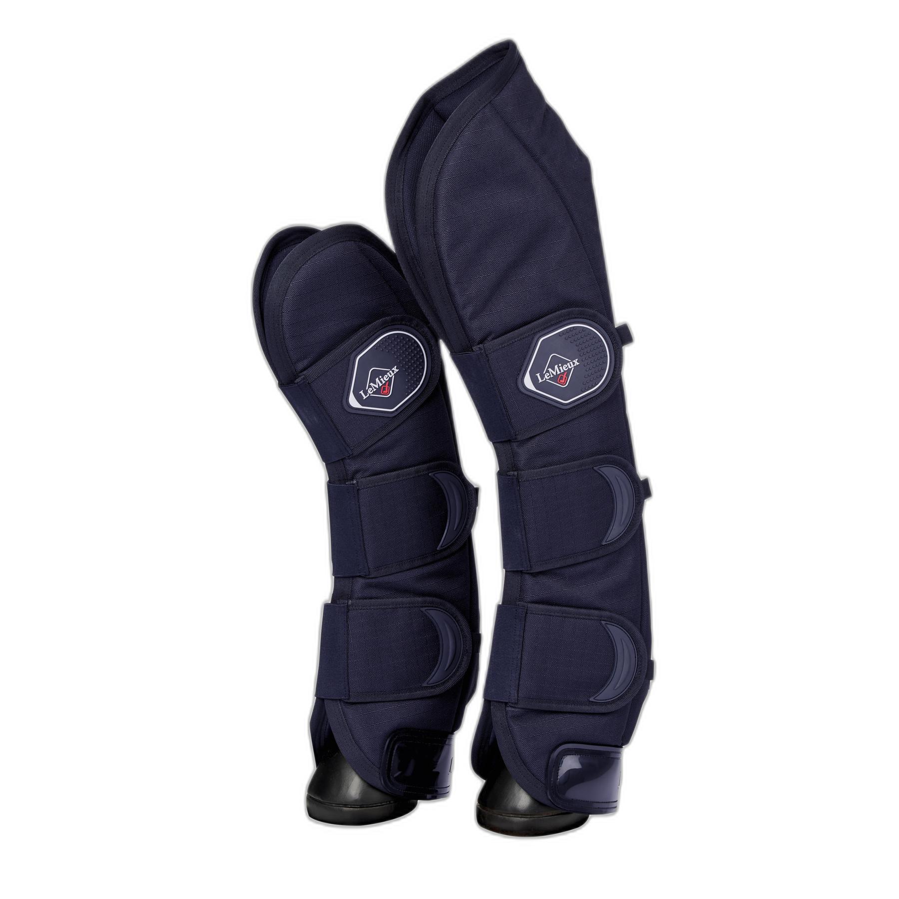 product/l/e/lemieux_it04495007_0.jpg