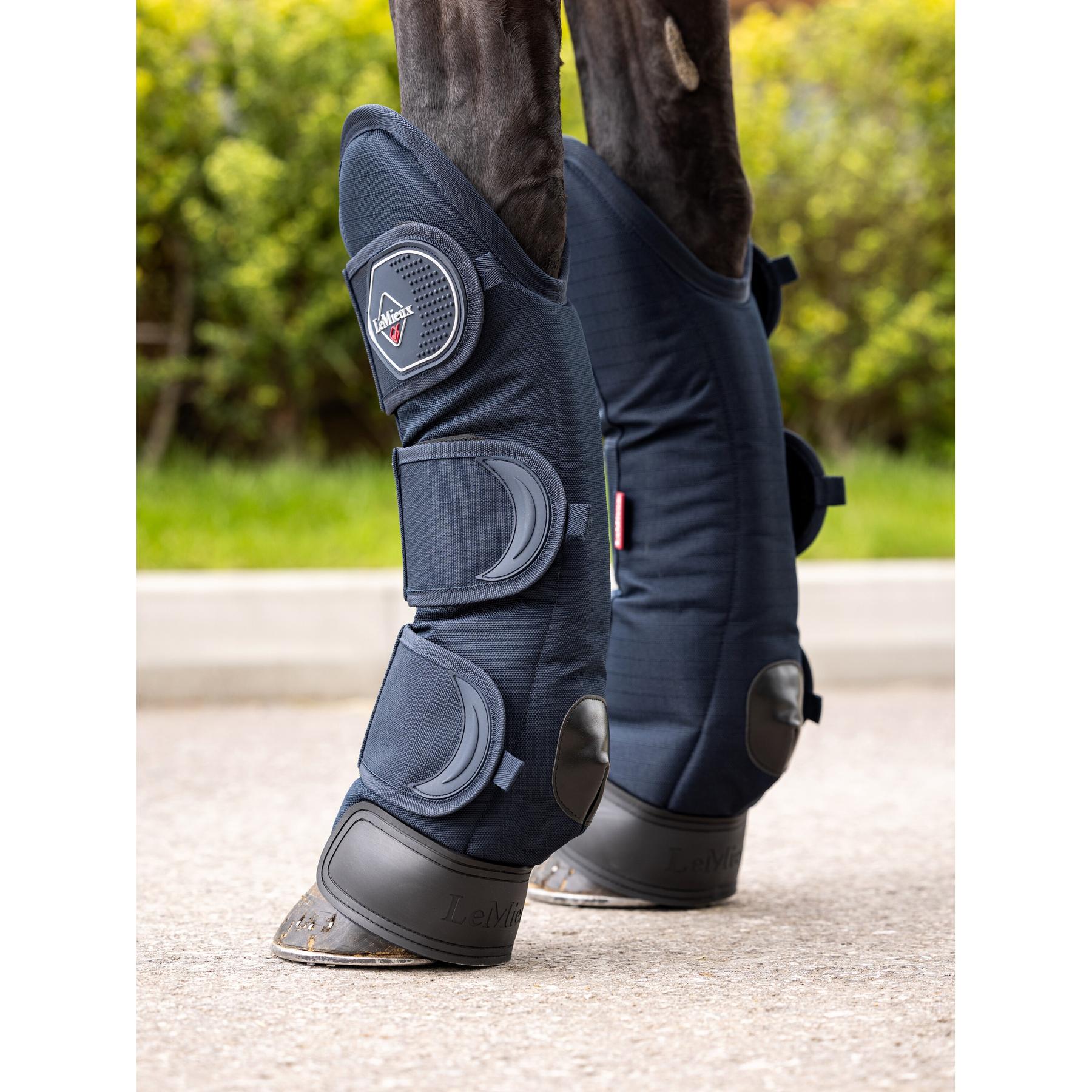 product/l/e/lemieux_it04495007_2.jpg