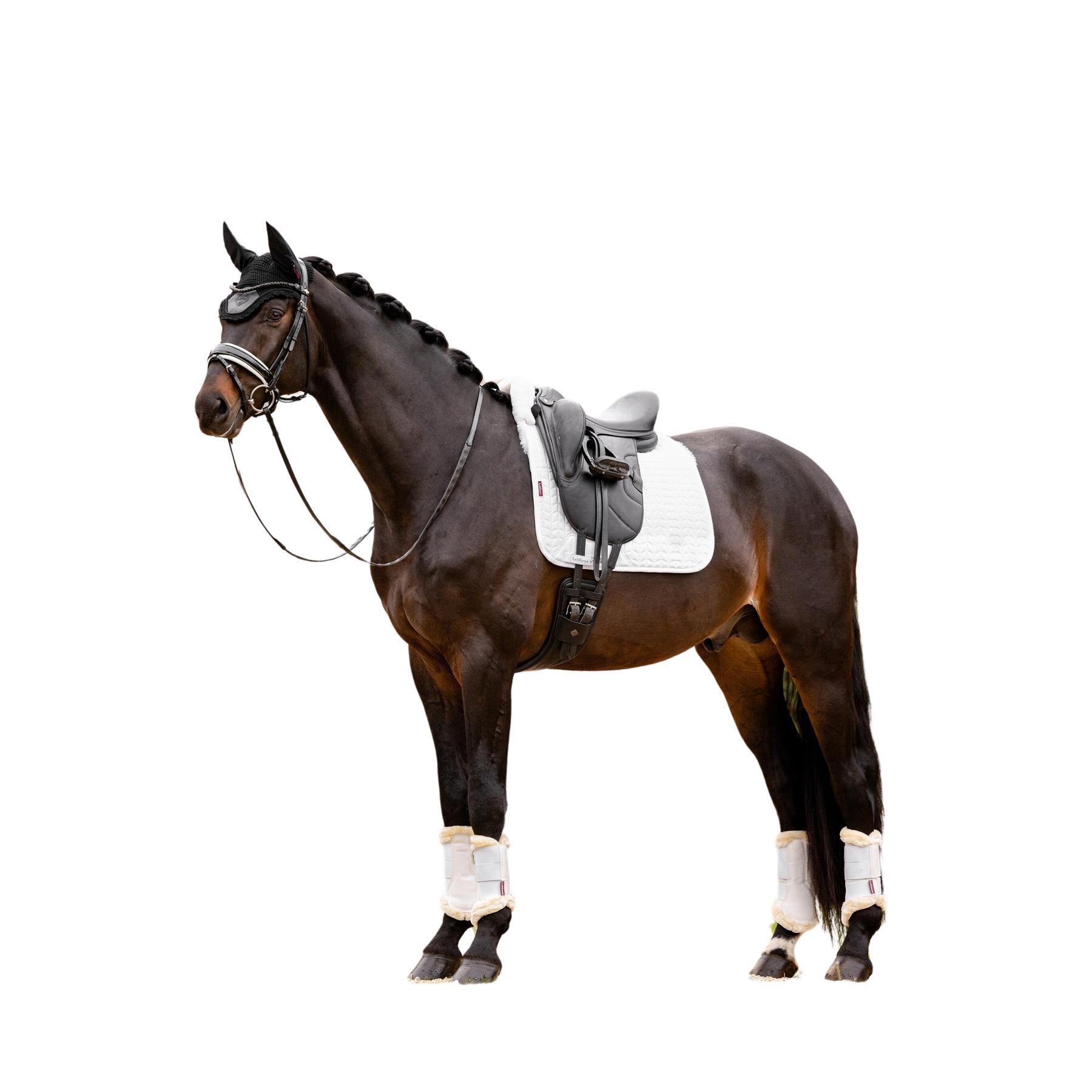 product/l/e/lemieux_it04884004_white_2.jpg