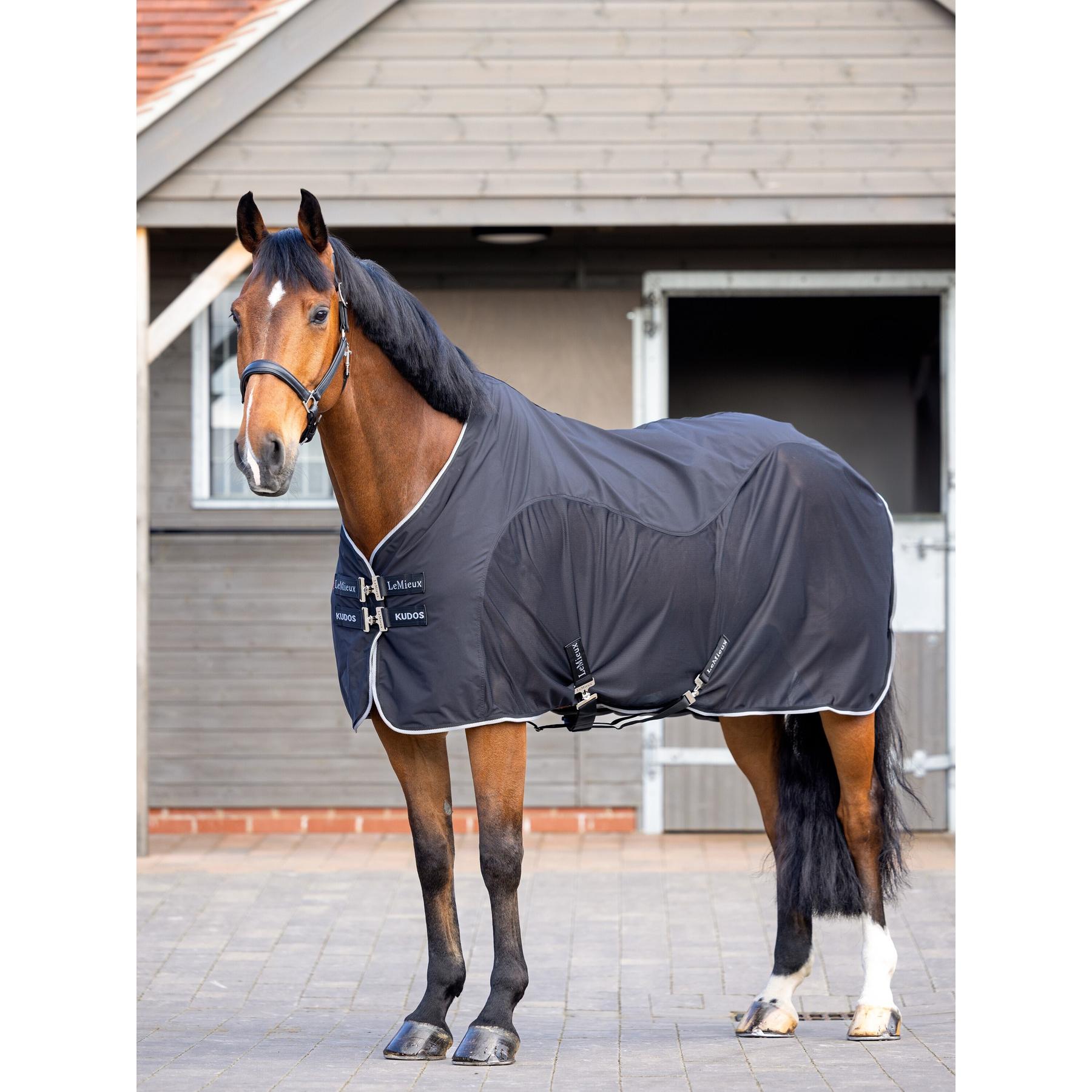 product/l/e/lemieux_it05441025_black_1.jpg