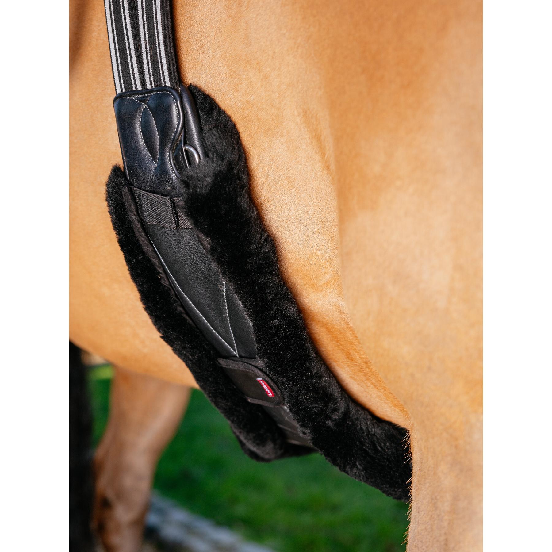 product/l/e/lemieux_it05799003_noir_4.jpg