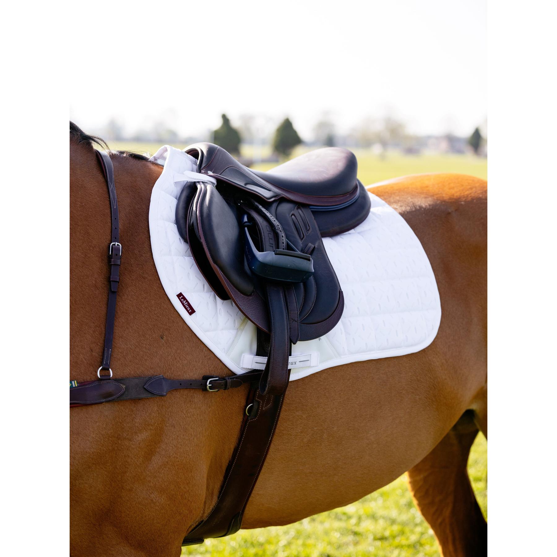 product/l/e/lemieux_it06930005_blanc_3.jpg