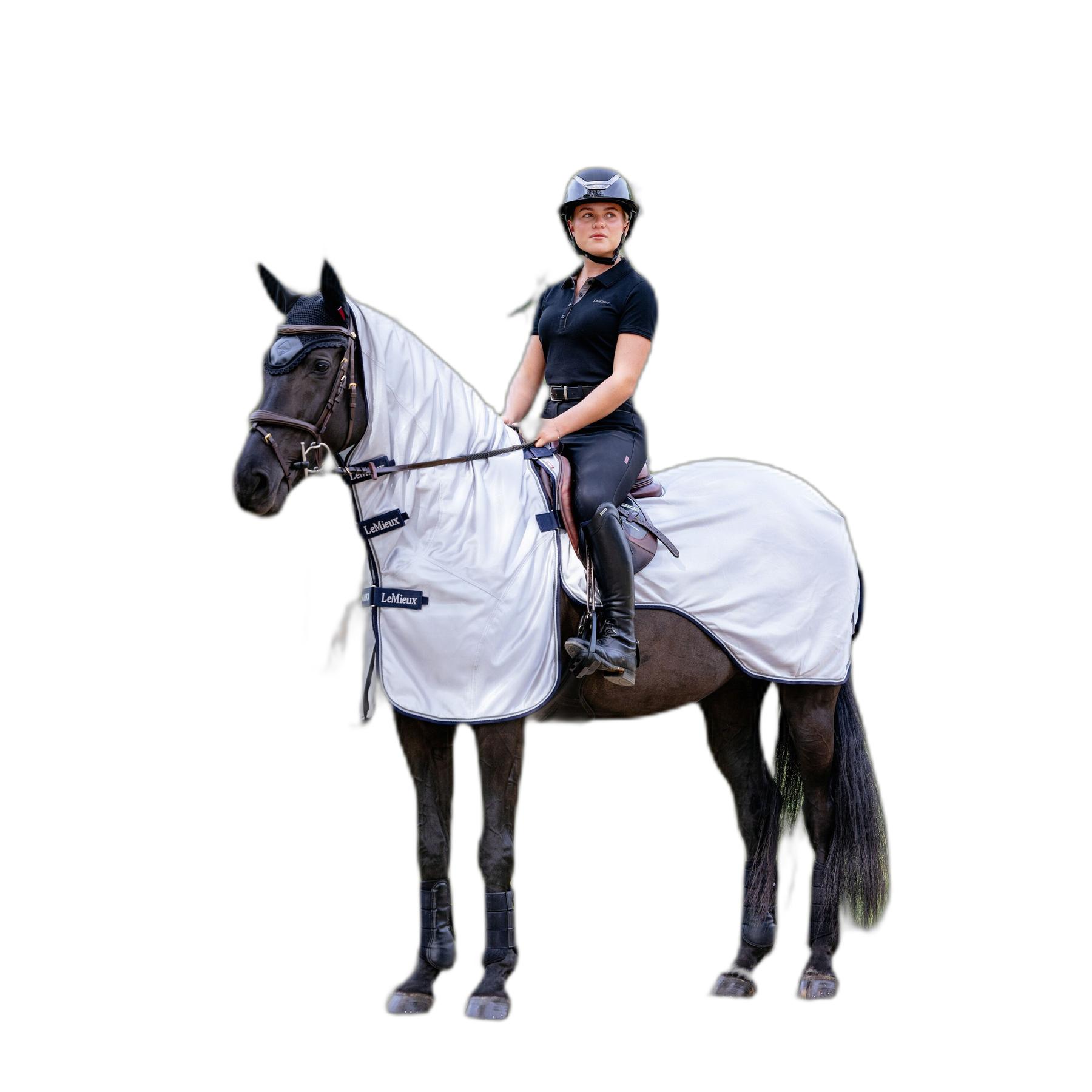 product/l/e/lemieux_it06937002_grey_1.jpg