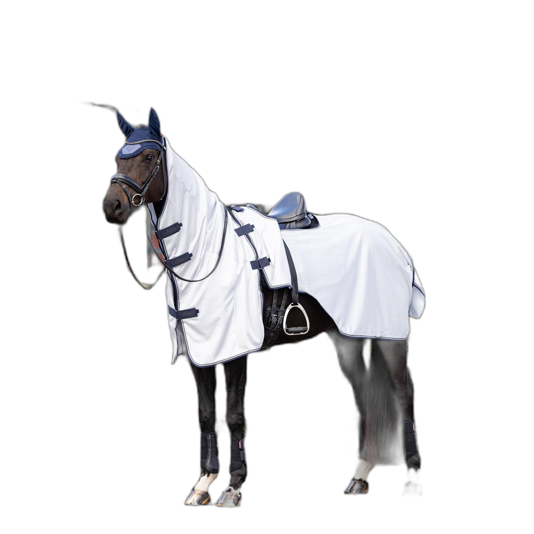 product/l/e/lemieux_it06937002_grey_2.jpg