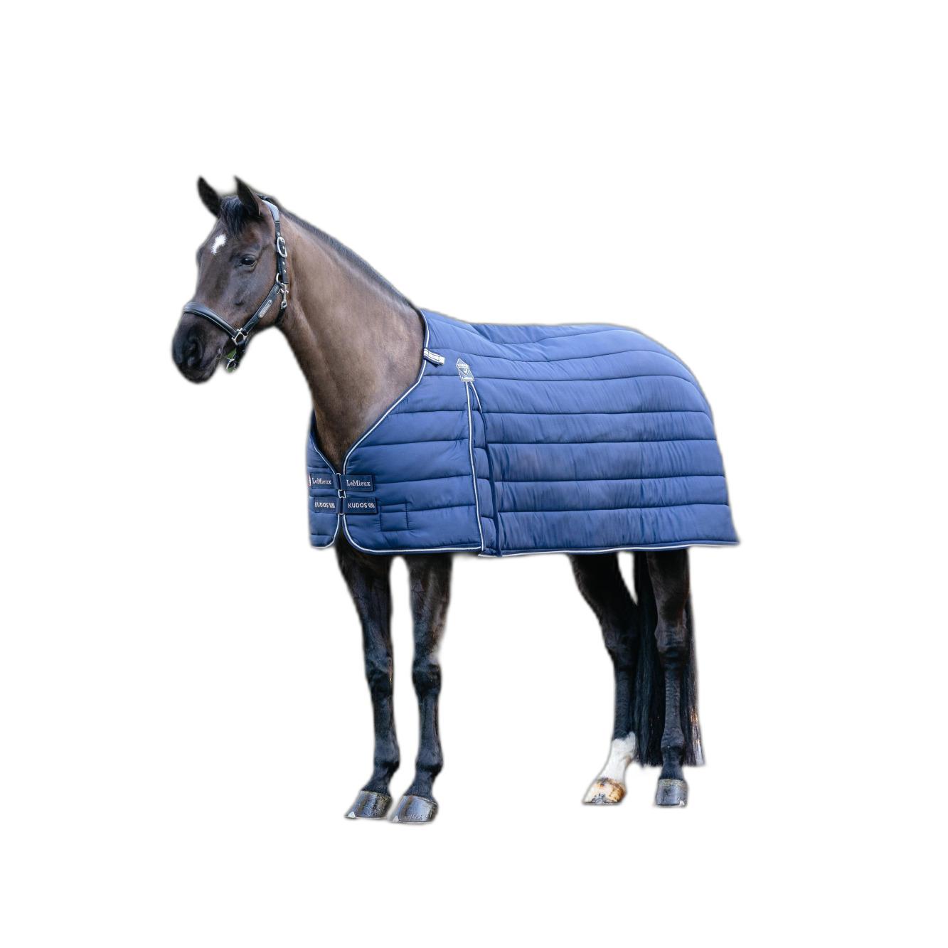 product/l/e/lemieux_it07050025_navy_1.jpg