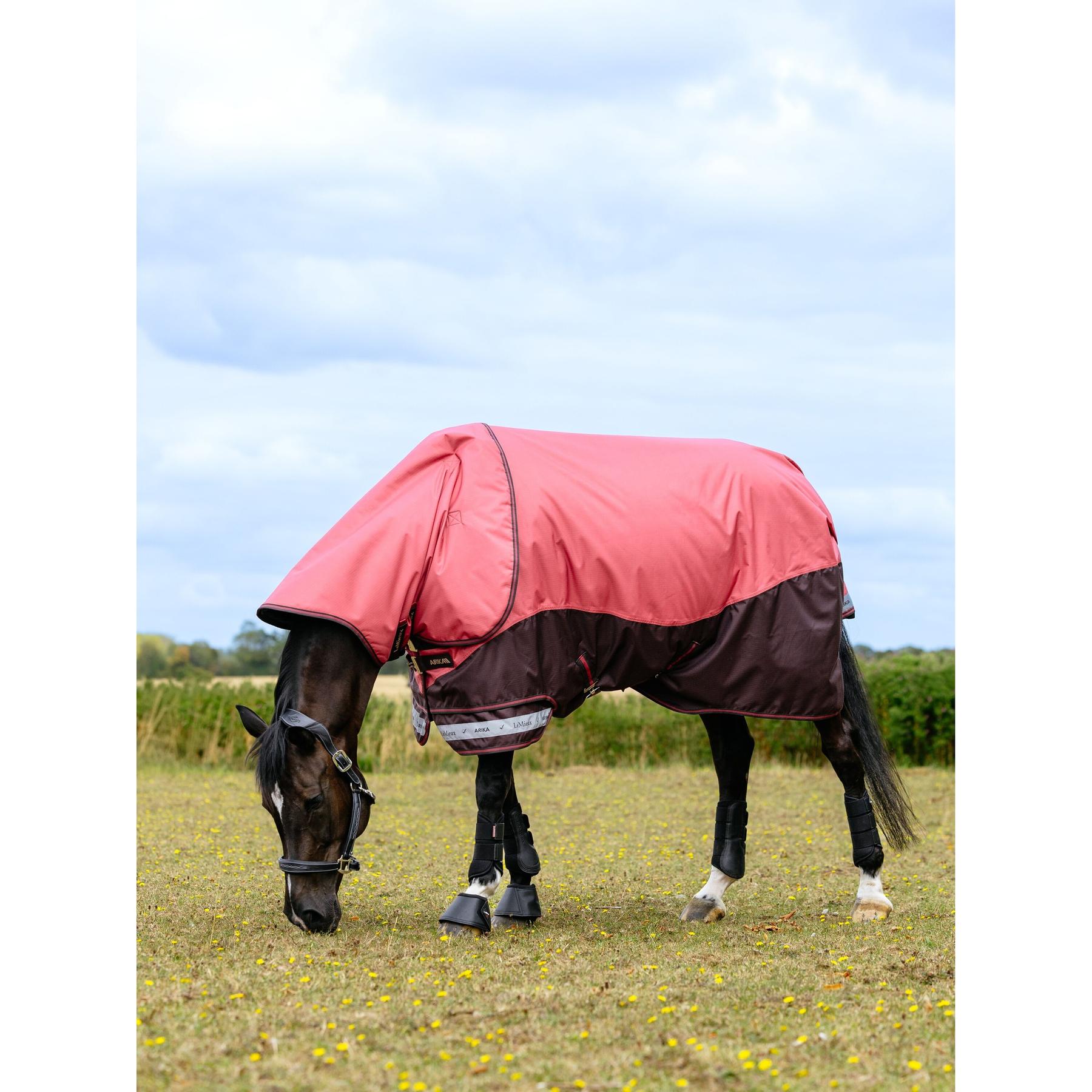 product/l/e/lemieux_it07064025_cranberry_3.jpg