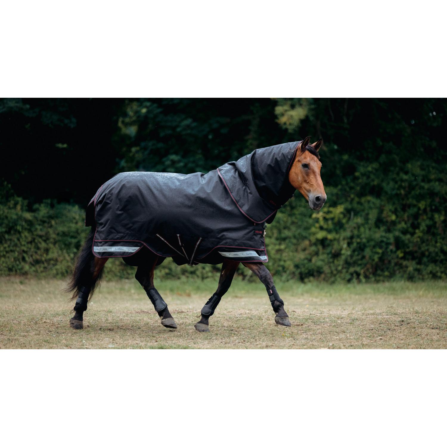 product/l/e/lemieux_it07074025_noir_3.jpg