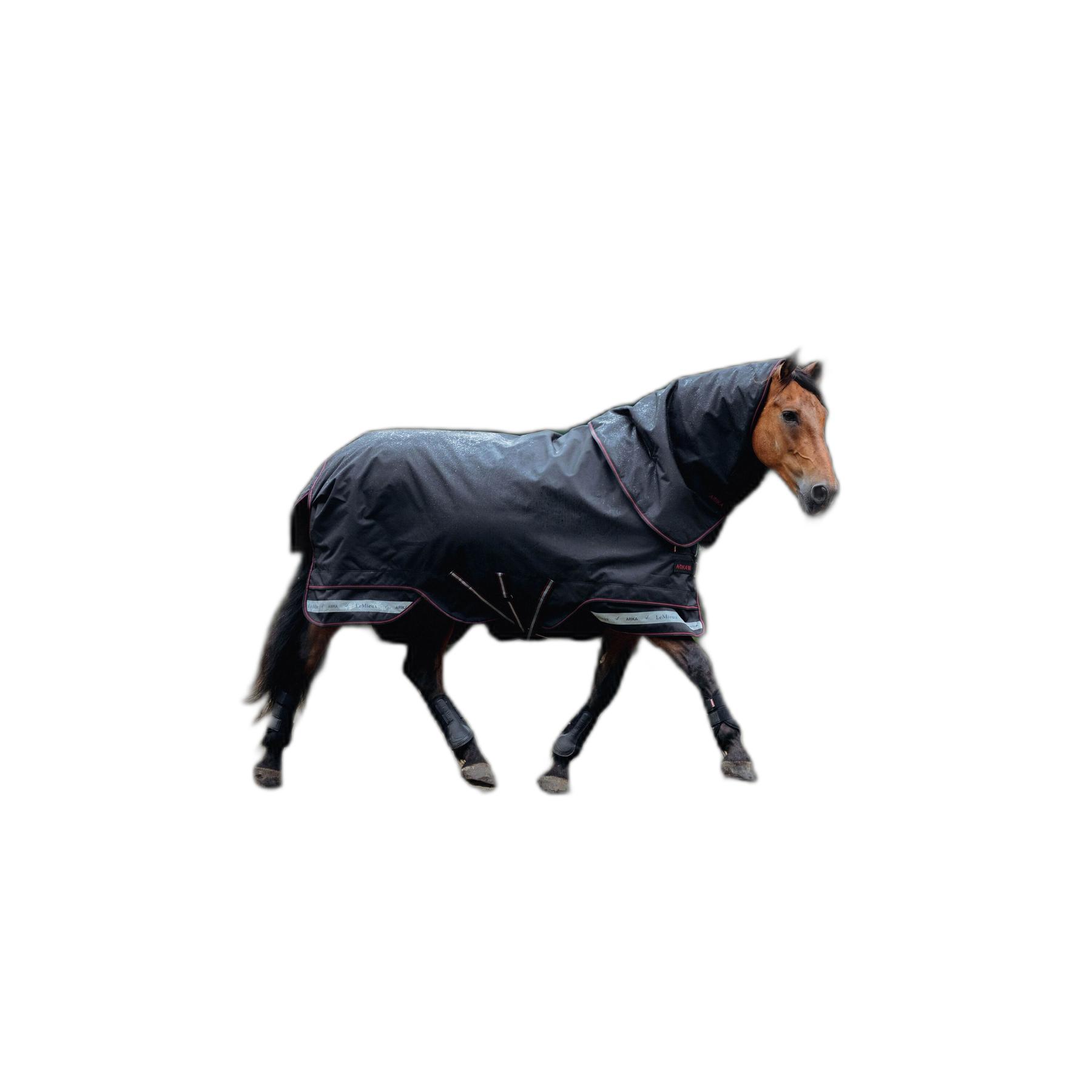 product/l/e/lemieux_it07075025_noir_1.jpg