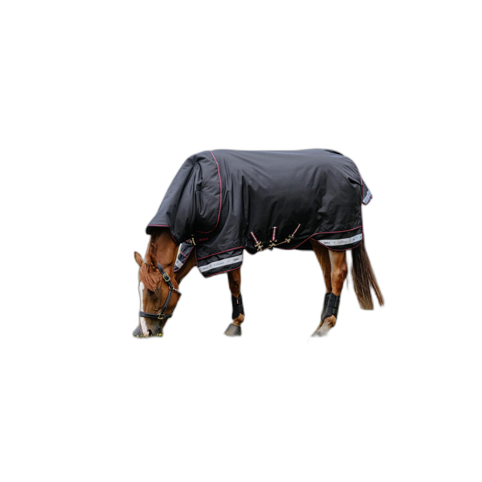 product/l/e/lemieux_it07076025_noir_1.jpg