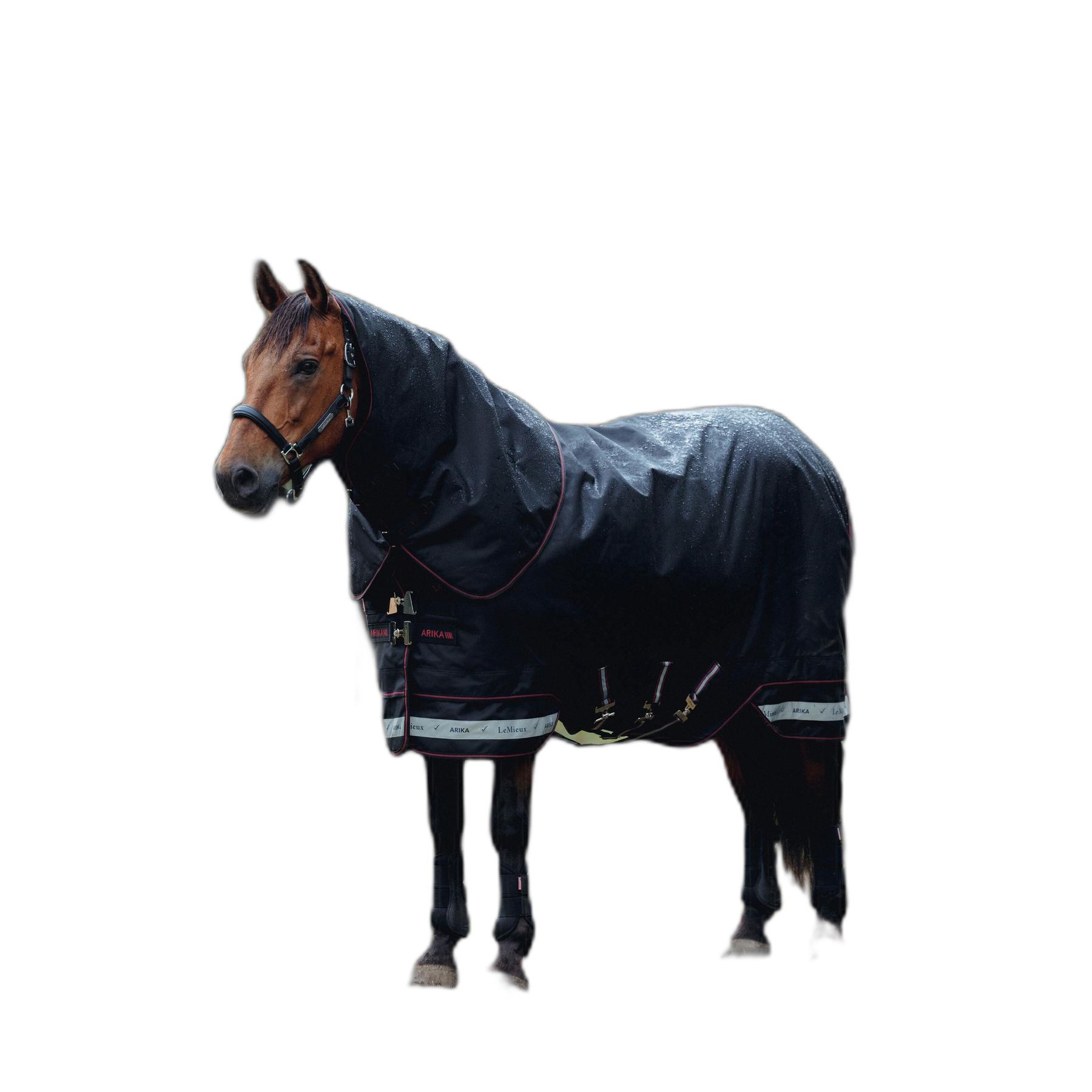 product/l/e/lemieux_it07076025_noir_2.jpg