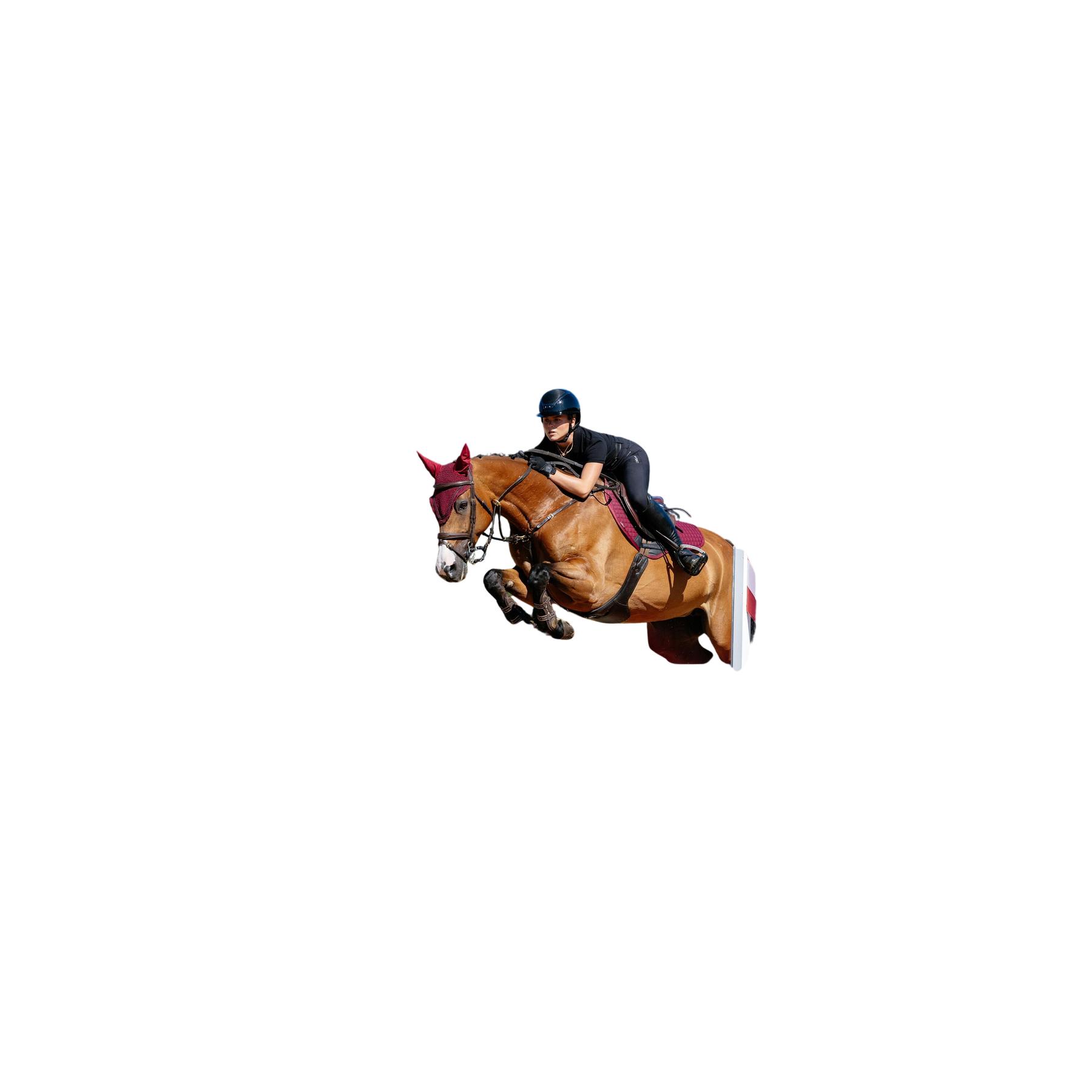 product/l/e/lemieux_it07594005_bordeaux_1.jpg