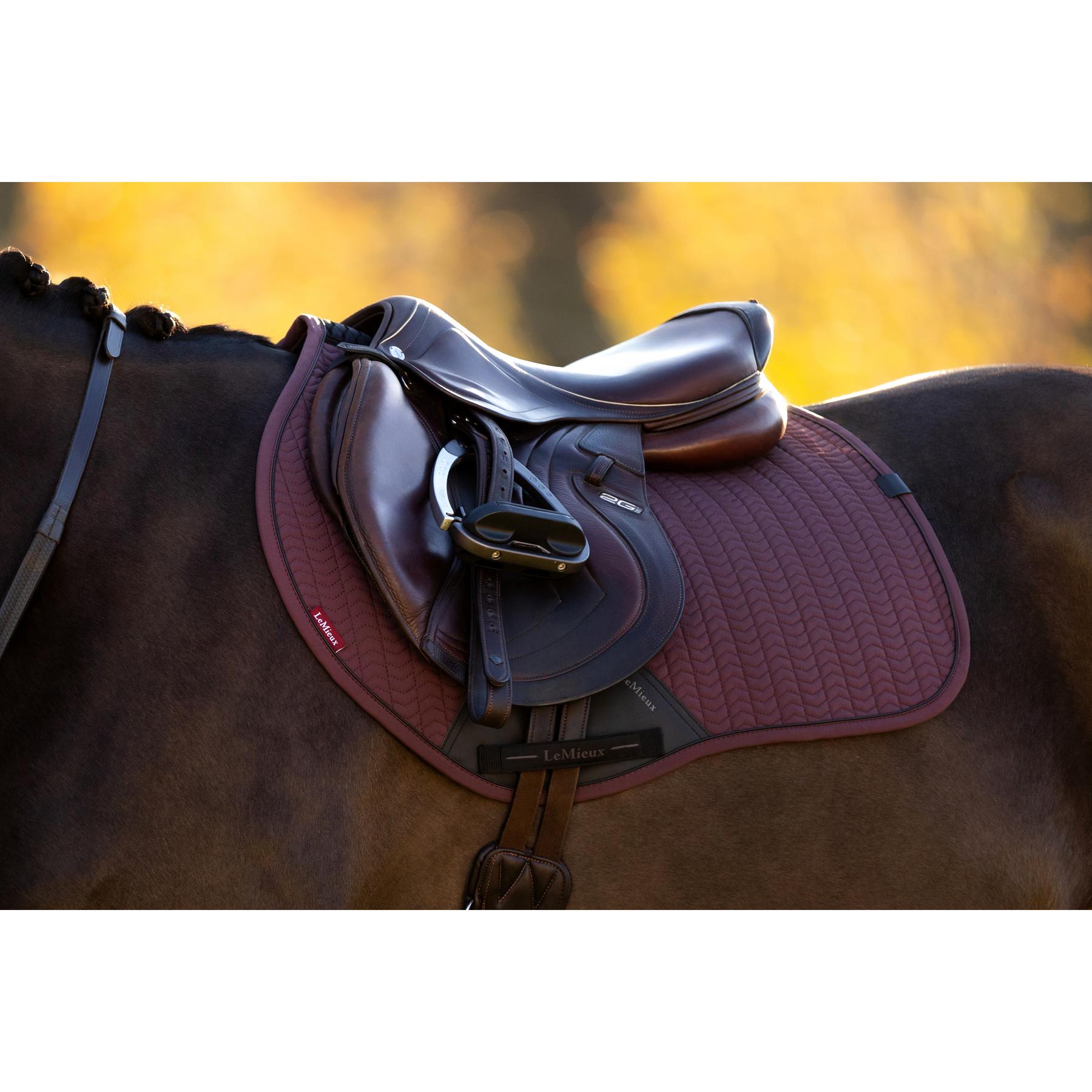 product/l/e/lemieux_it07761_007.jpg