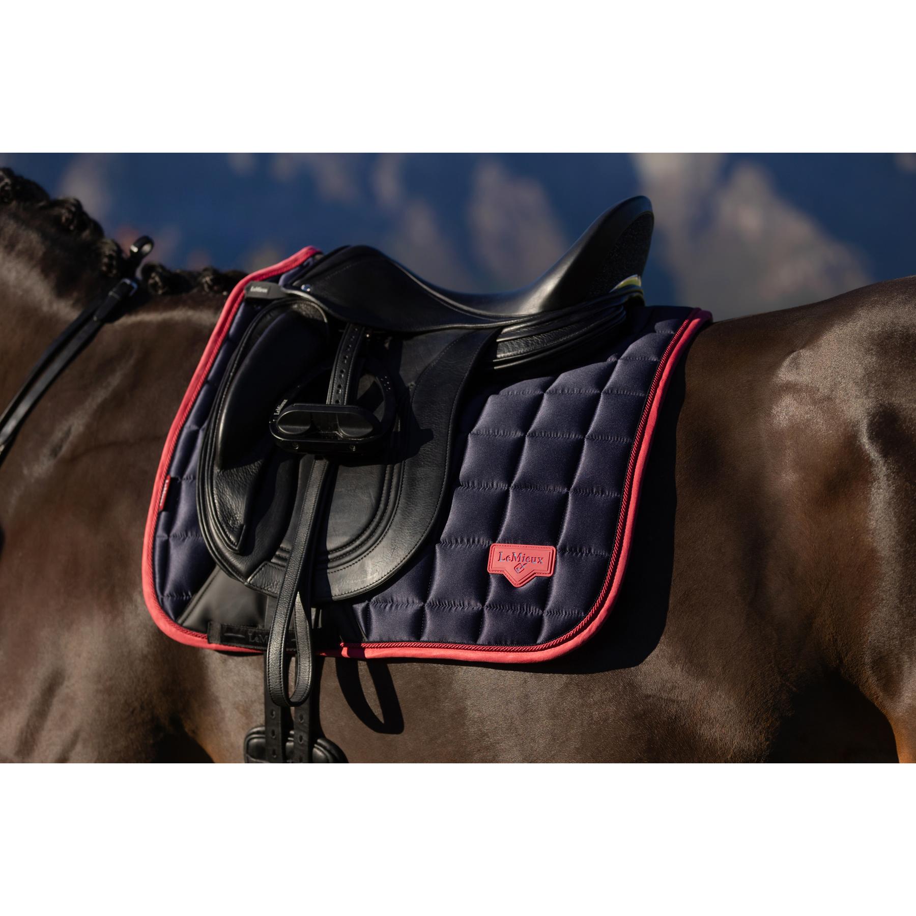 product/l/e/lemieux_it08148_012.jpg