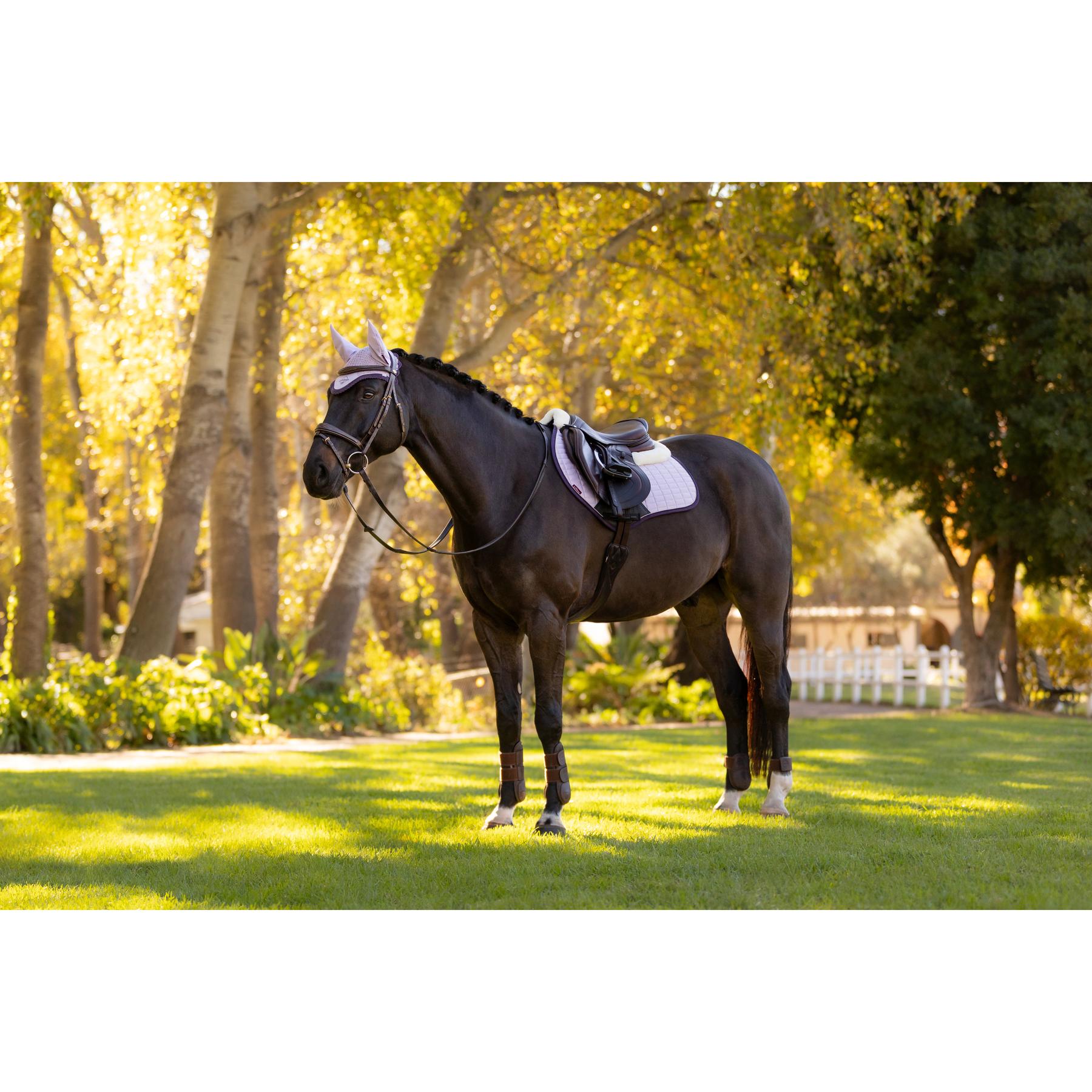 product/l/e/lemieux_it08169_002.jpg