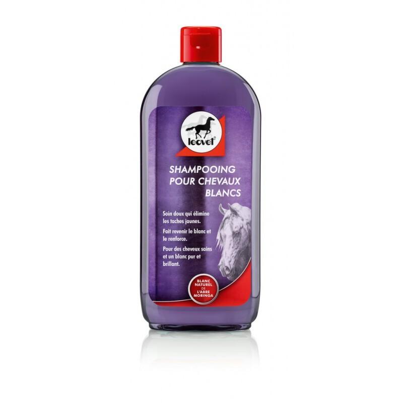 product/l/e/leovet_722049050_violet_1.jpg