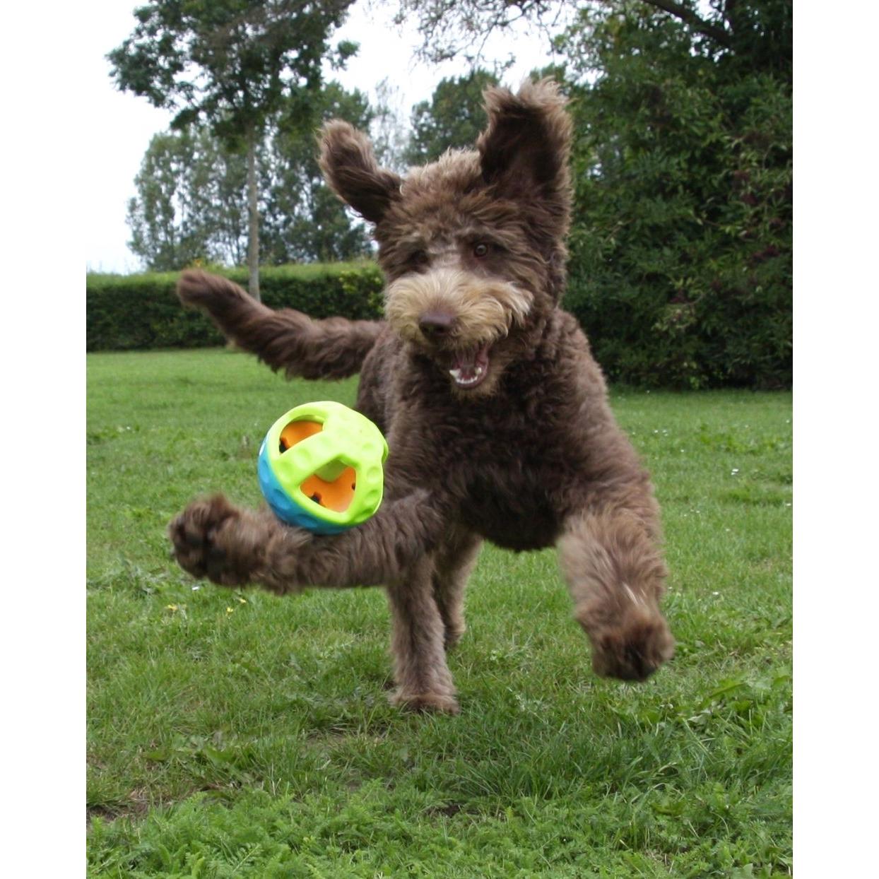 product/n/o/nobby-pet_60032_1.jpg