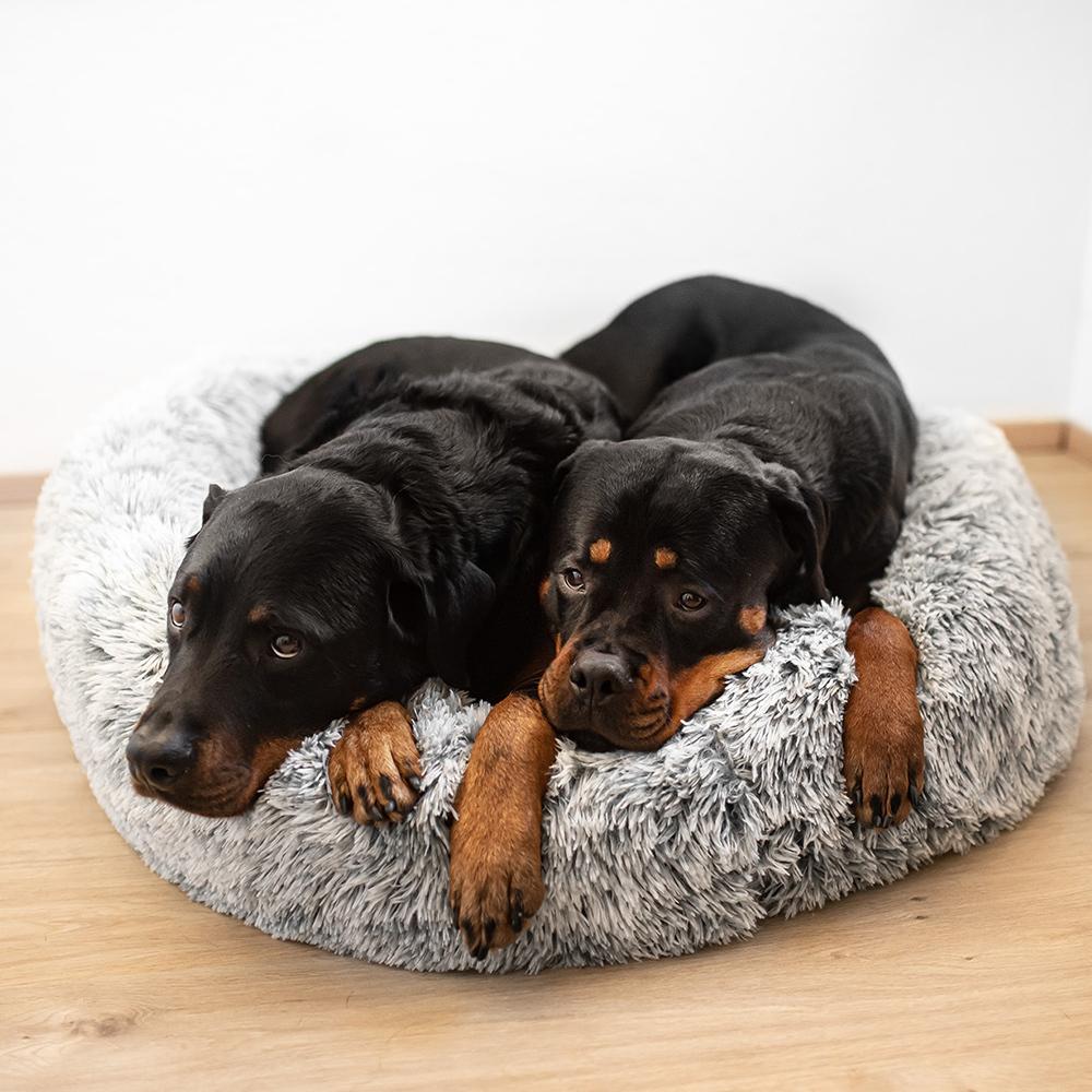 product/n/o/nobby-pet_61764_1.jpg