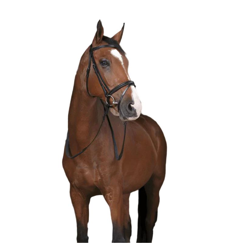 product/n/o/norton-pro_305631102_noir_2.jpg