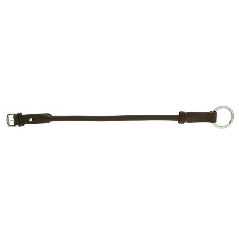 product/n/o/norton-pro_608675318.jpg
