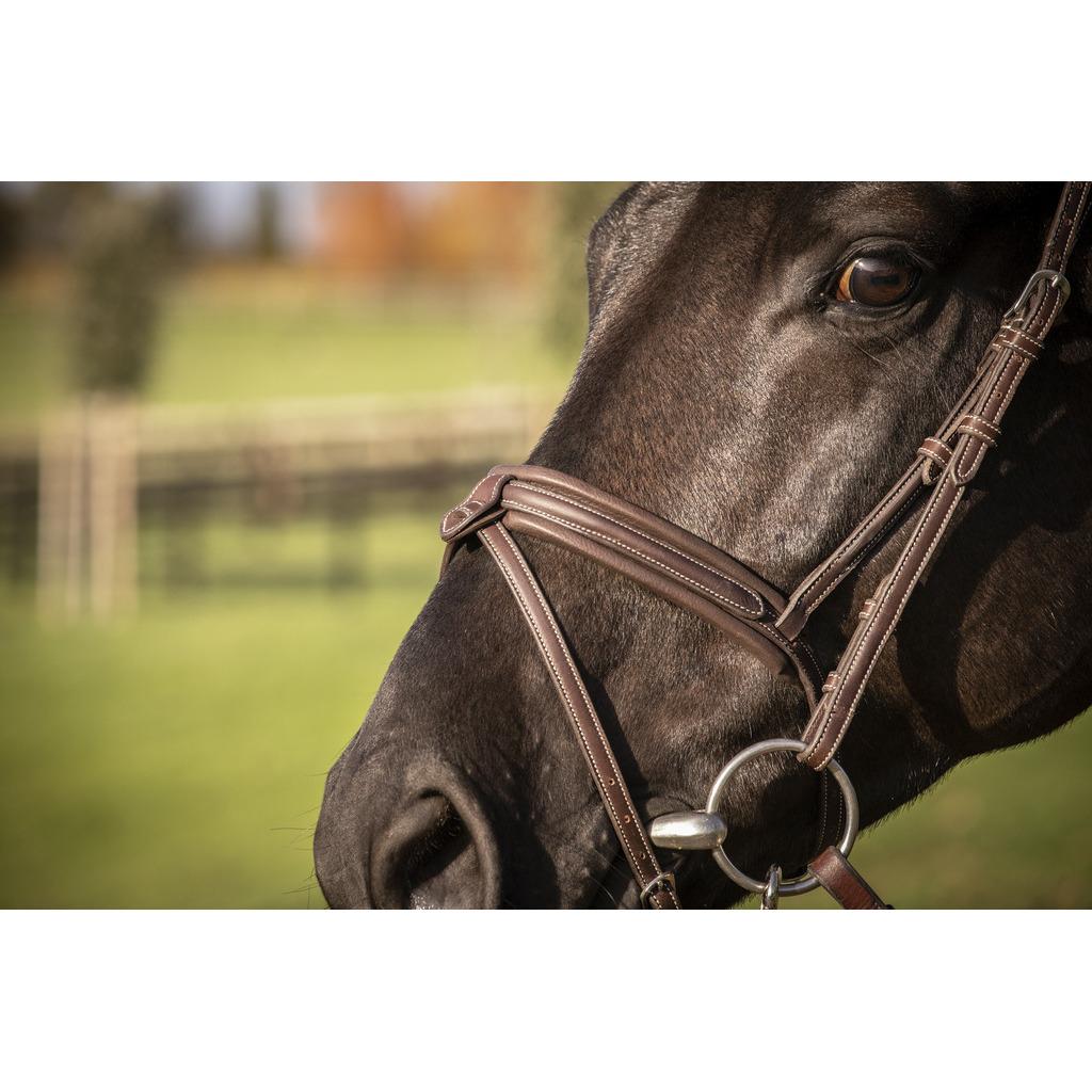 product/p/e/penelope_301_605_318_det5.jpg