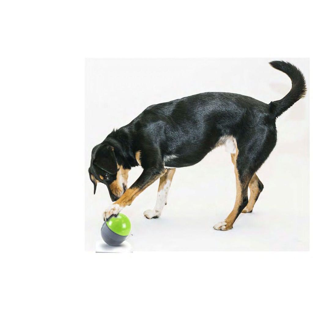 product/p/e/petsafe_cy0868_1.jpg