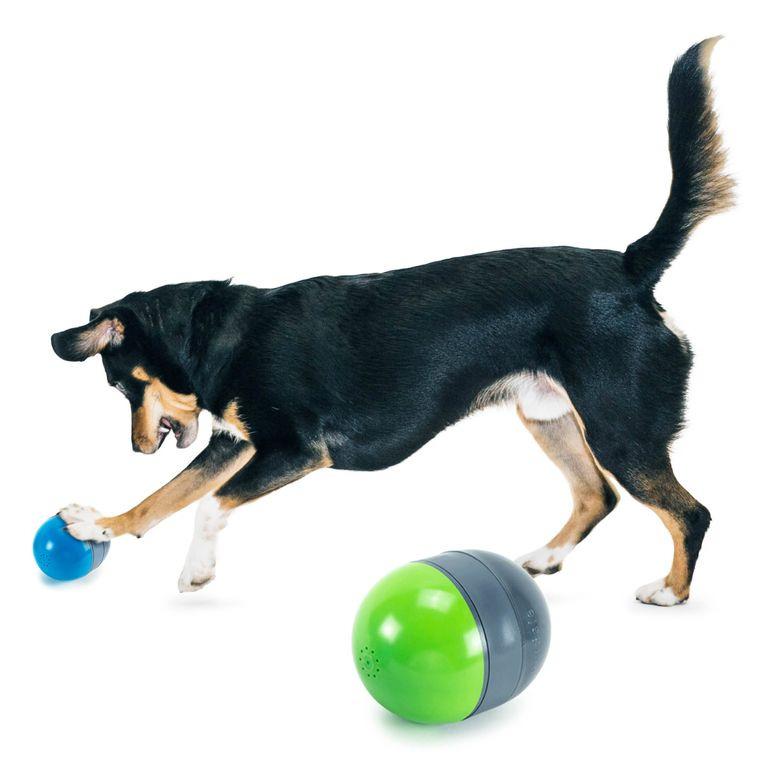 product/p/e/petsafe_cy0868_2.jpg