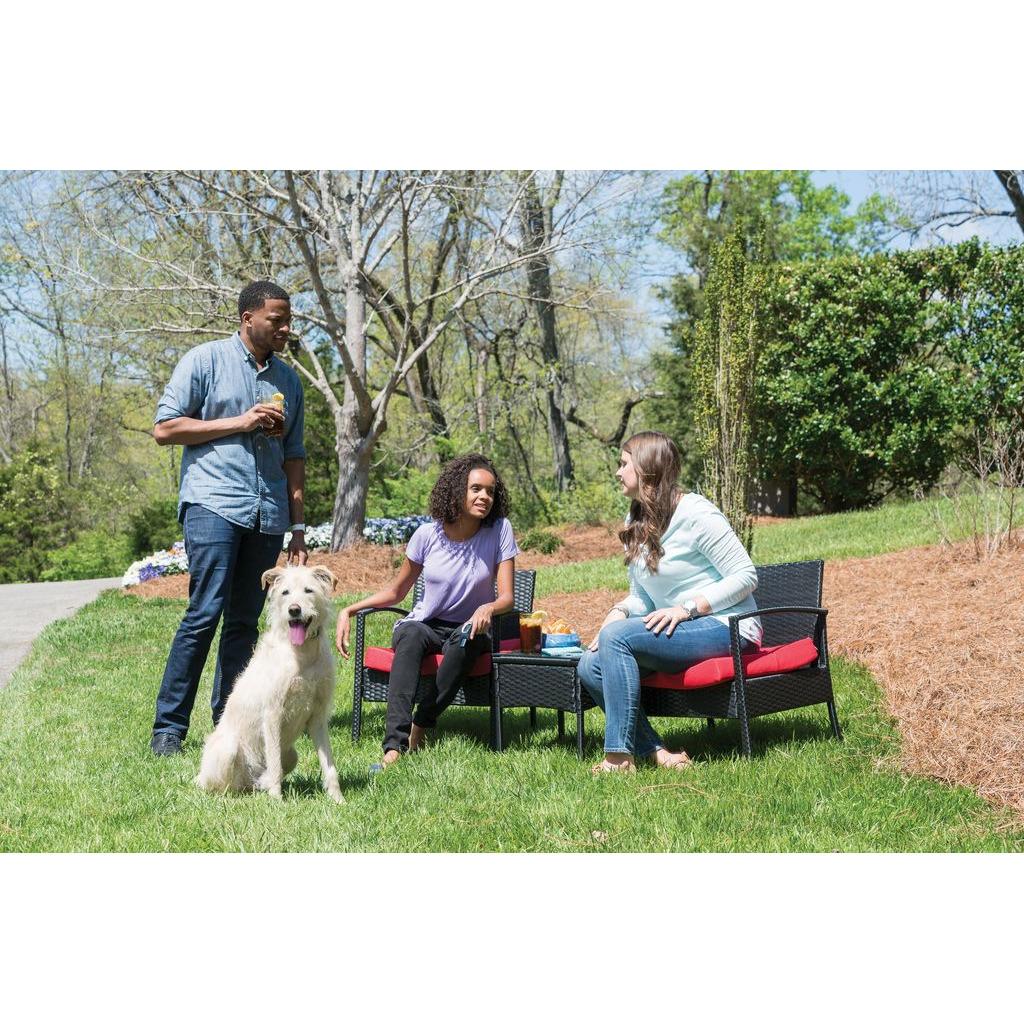 product/p/e/petsafe_cy0986_2.jpg