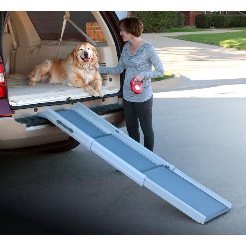product/p/e/petsafe_cy1295_1.jpg