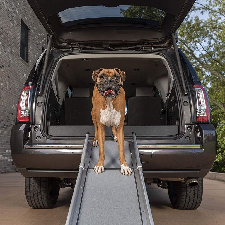 product/p/e/petsafe_cy1295_2.jpg