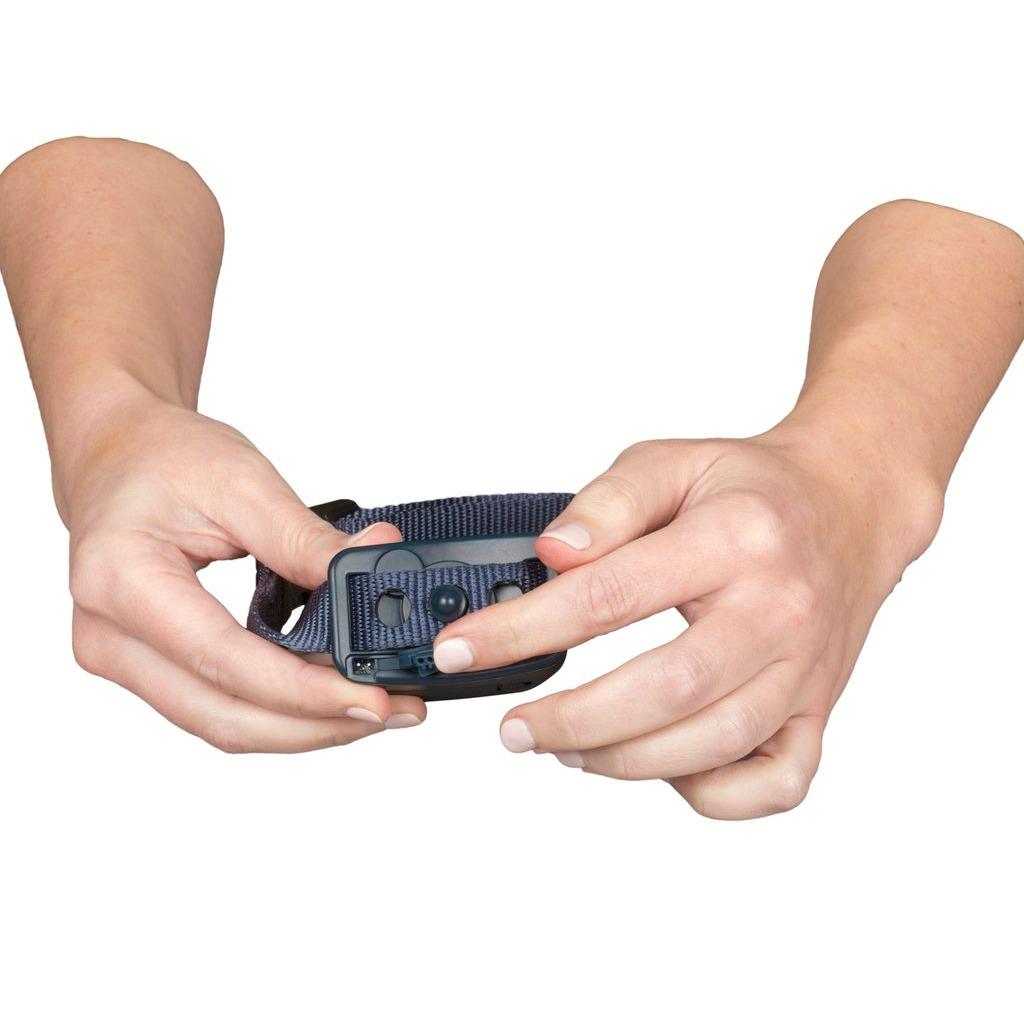 product/p/e/petsafe_cy1311_1.jpg