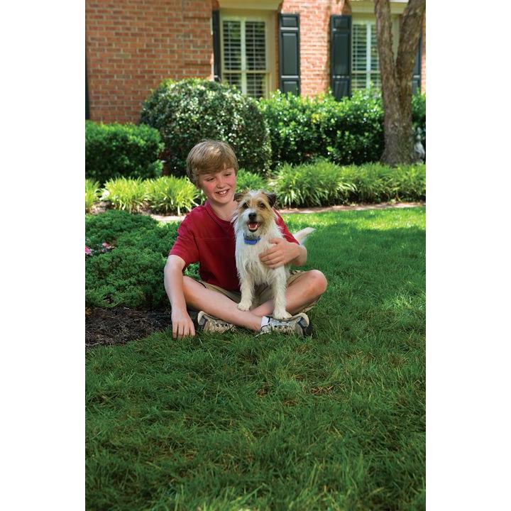 product/p/e/petsafe_cy2200_3.jpg