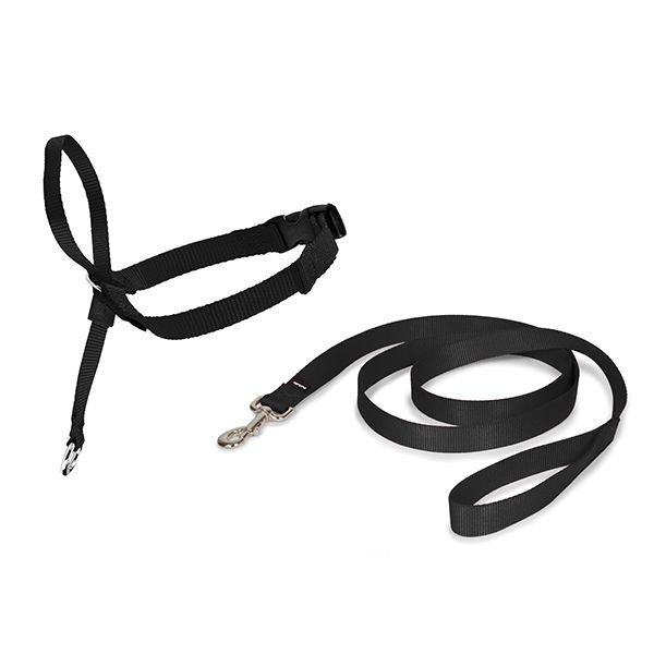 product/p/e/petsafe_cy3600_0.jpg
