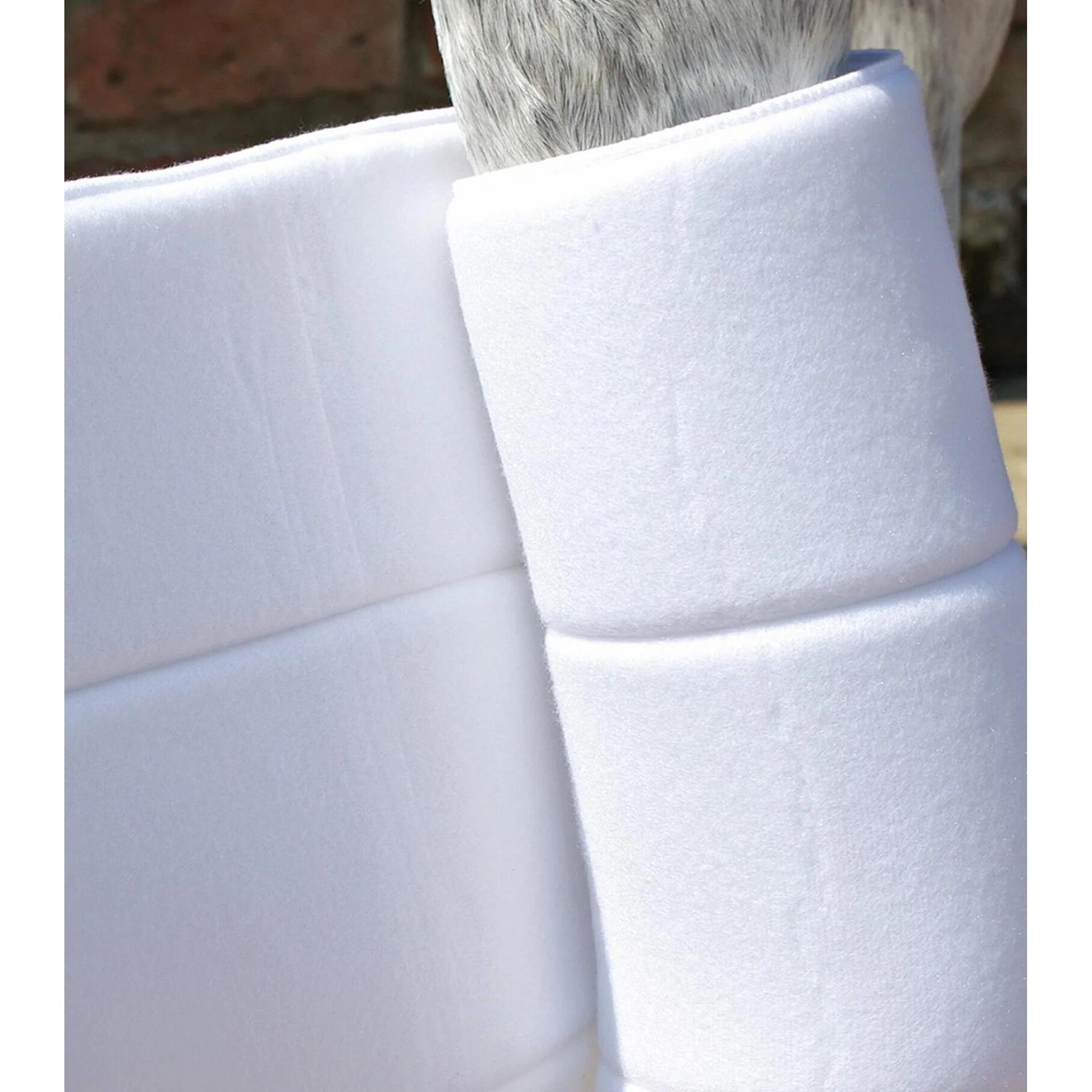 product/p/r/premier-equine_100514_2.jpg