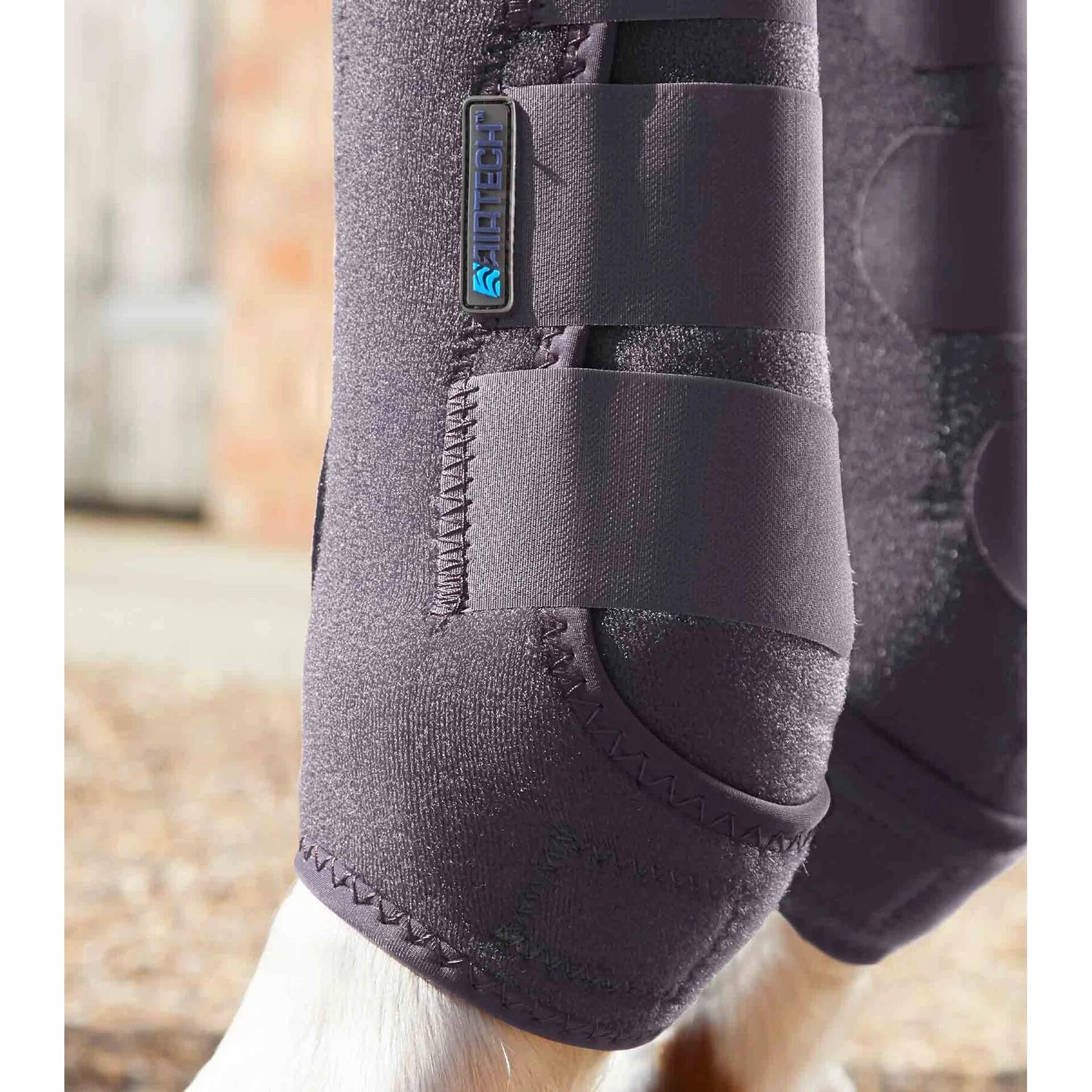 product/p/r/premier-equine_1029xxsg_3.jpg