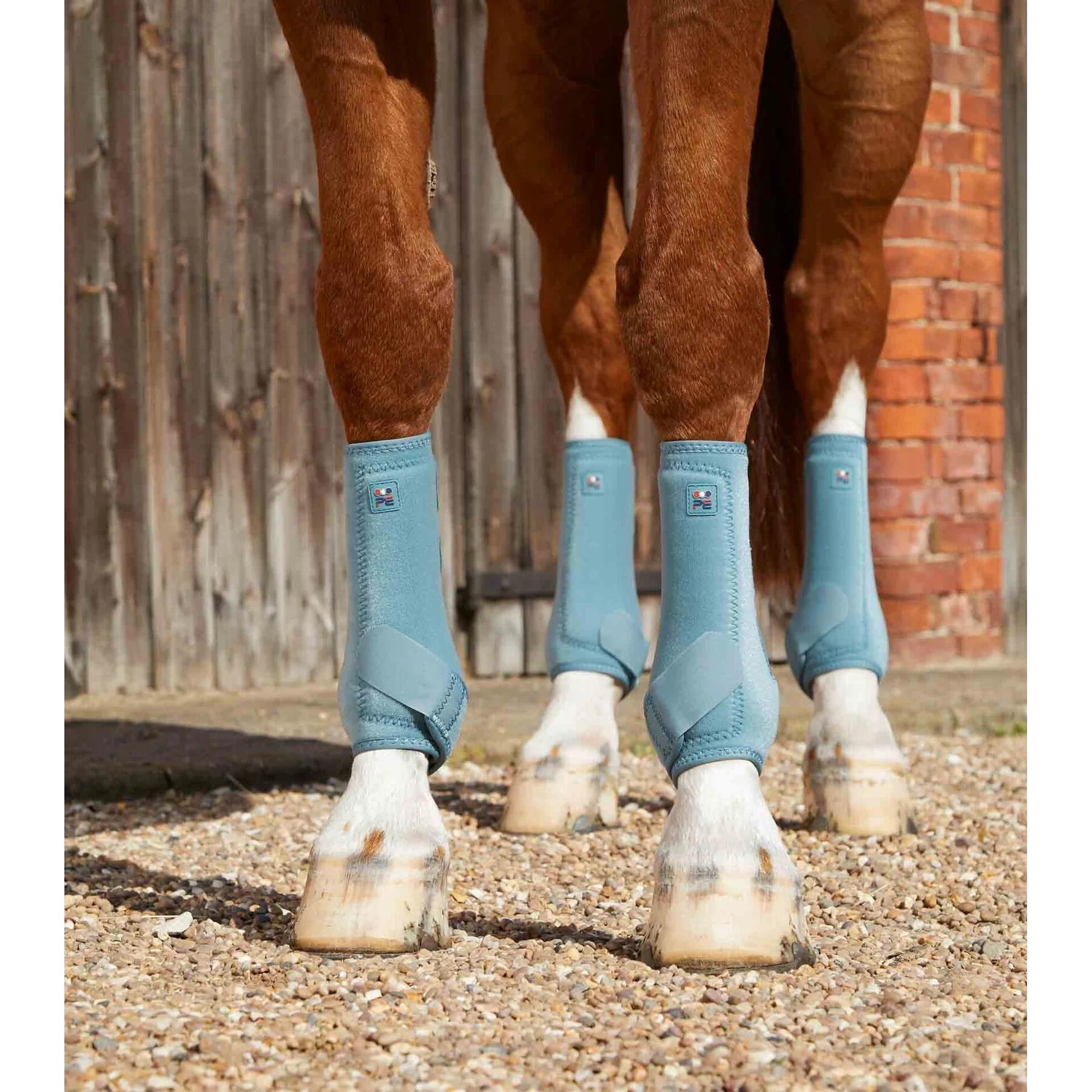 product/p/r/premier-equine_1029xxst_3.jpg