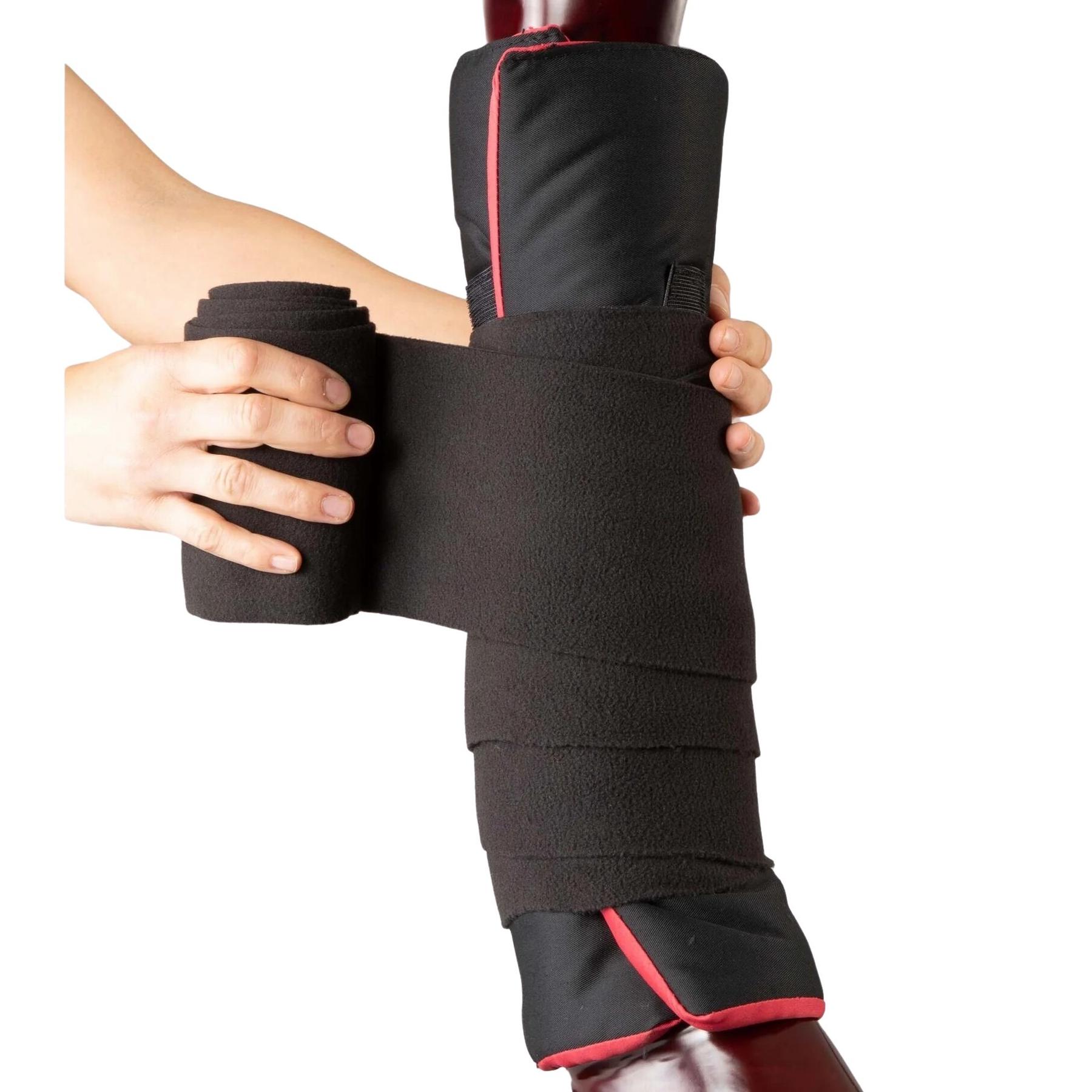 product/p/r/premier-equine_1036-l_4.jpg