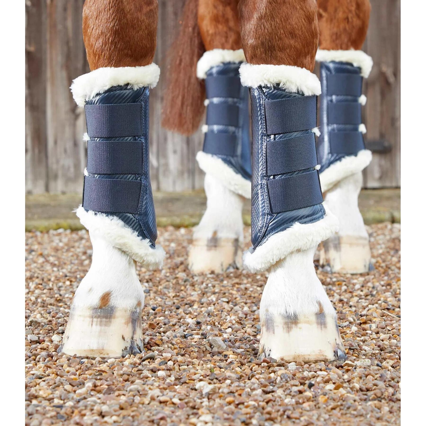 product/p/r/premier-equine_1038xln_3.jpg