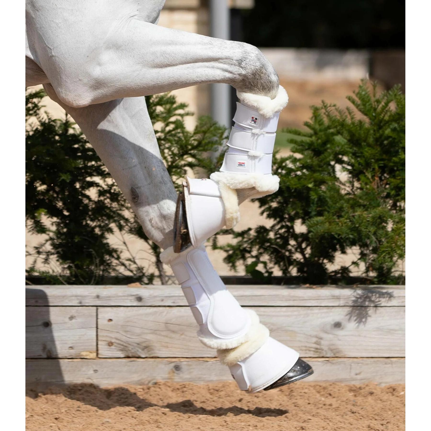 product/p/r/premier-equine_1038xlw_1.jpg