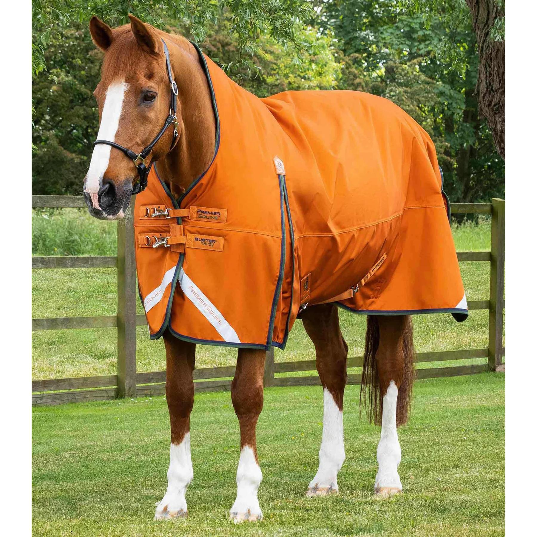 product/p/r/premier-equine_203050bo_burnt-orange_1.jpg