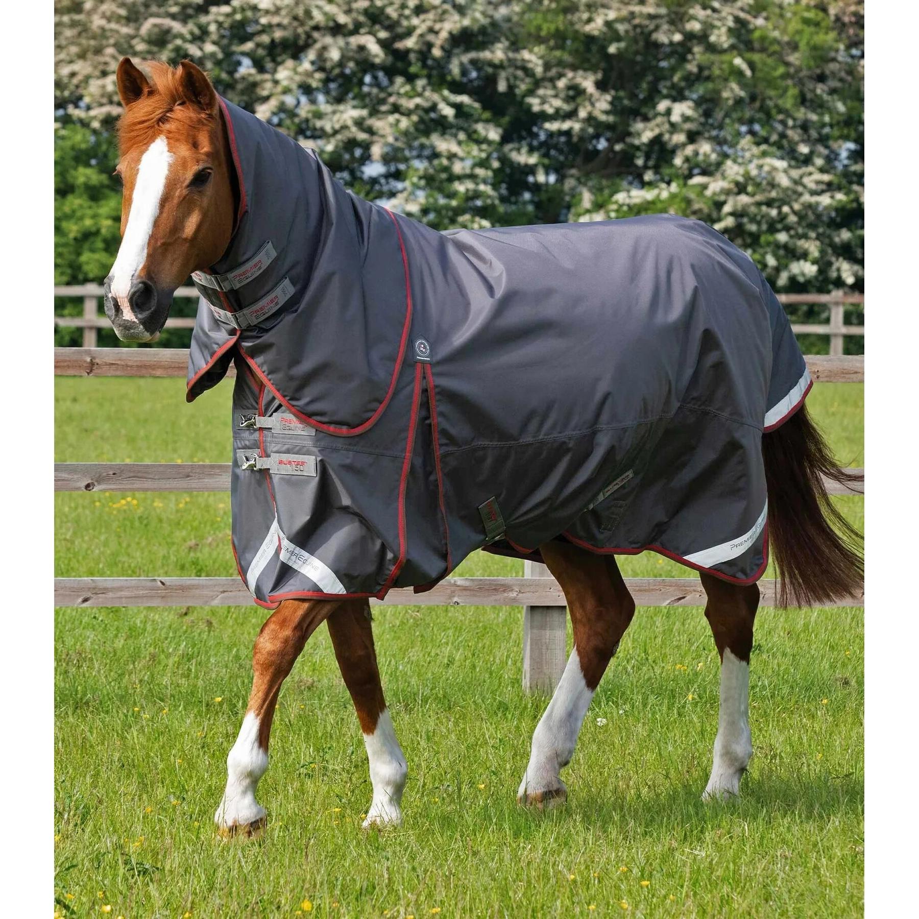 product/p/r/premier-equine_205950g_1.jpg