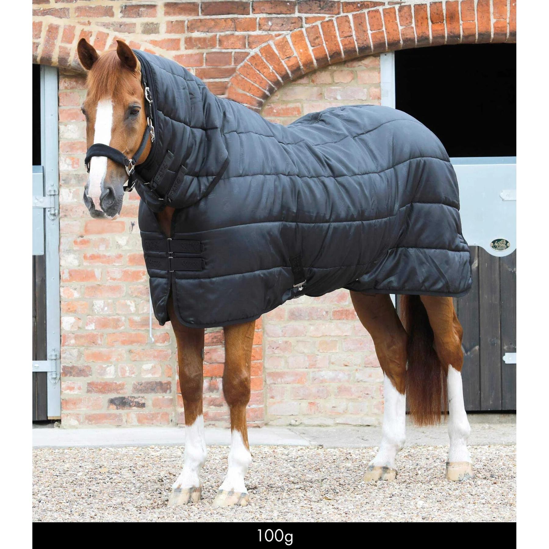 product/p/r/premier-equine_206510050_1.jpg