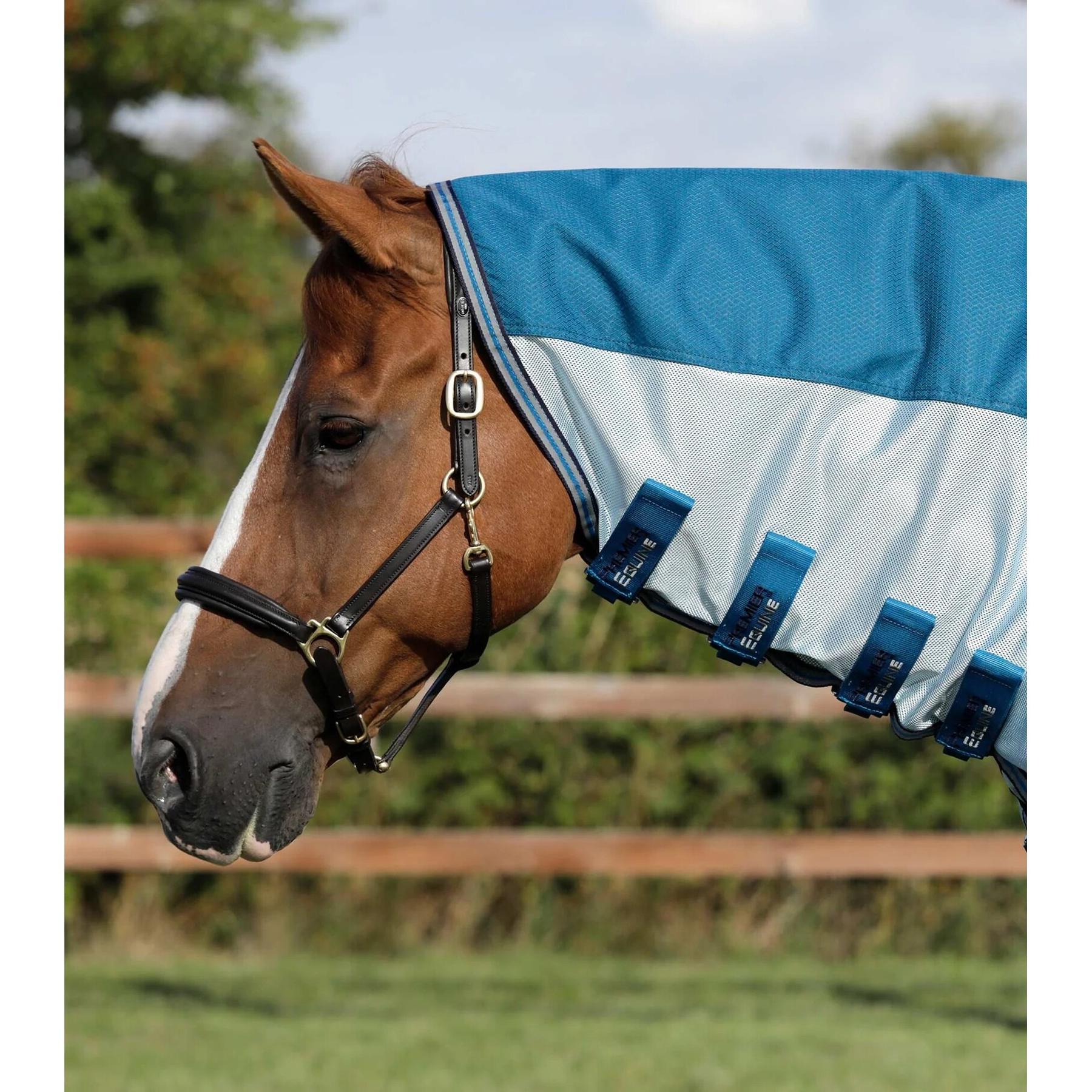 product/p/r/premier-equine_208250bl_2.jpg