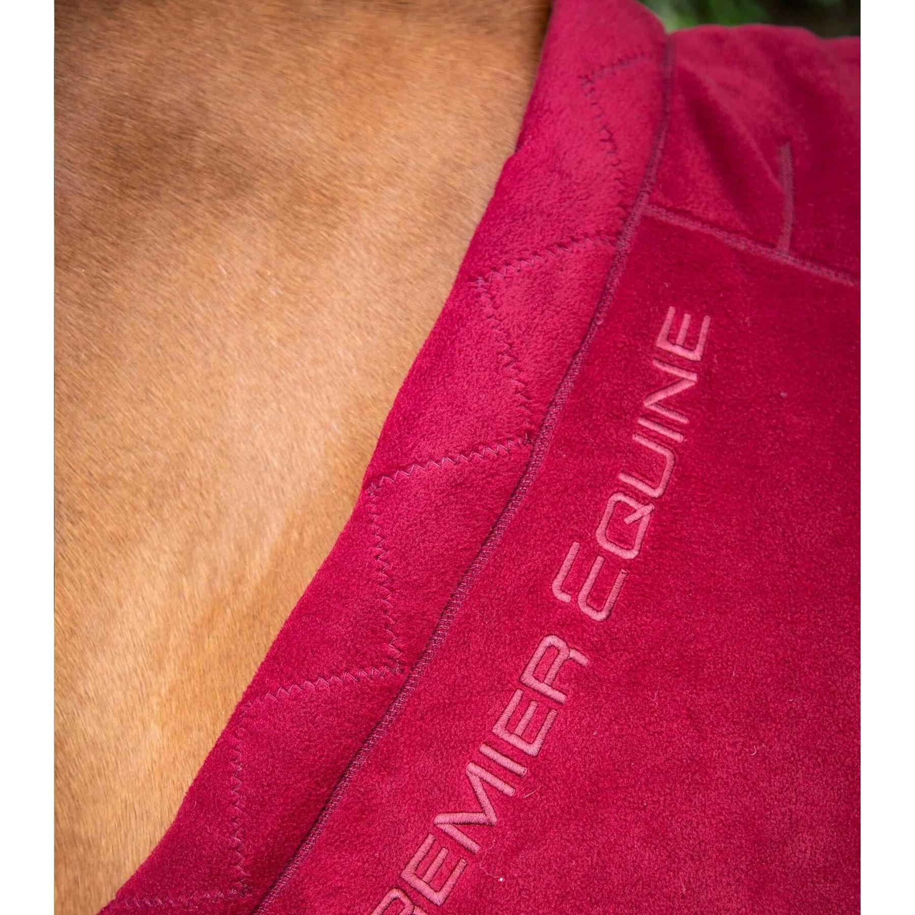 product/p/r/premier-equine_209050brg_2.jpg